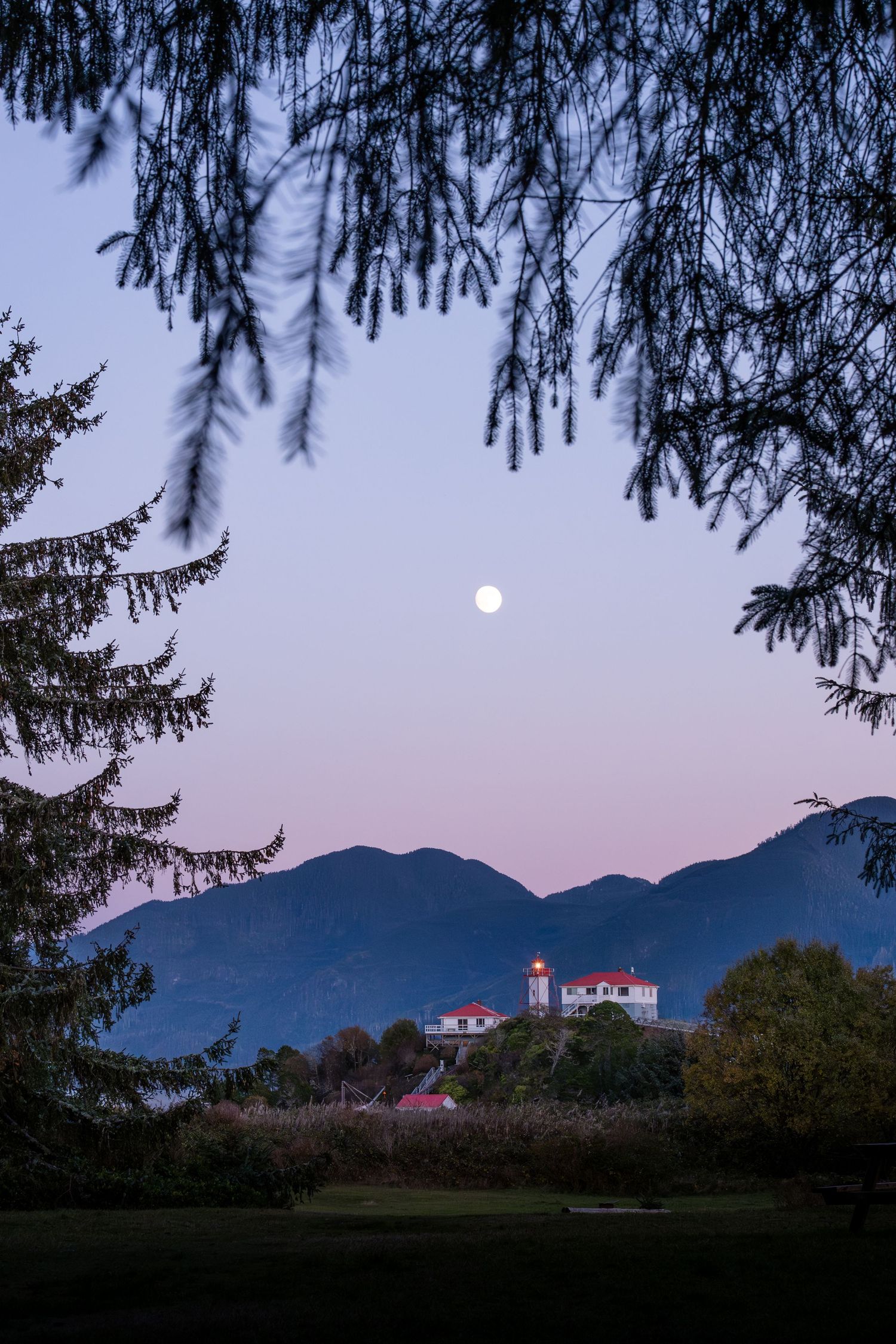 Lighthouse silhouetted against purple twilight sky with full moon rising above evergreen trees.