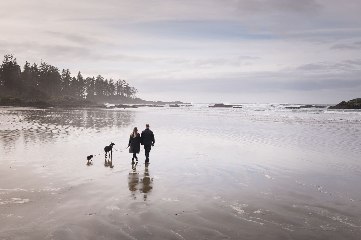 Silhouettes of people and dogs walking along a misty beach at sunset with mountains in the background.