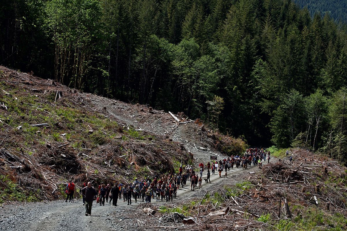 Fairy Creek blockade. A long line of protesters walking along a rocky mountain trail surrounded by evergreen trees.