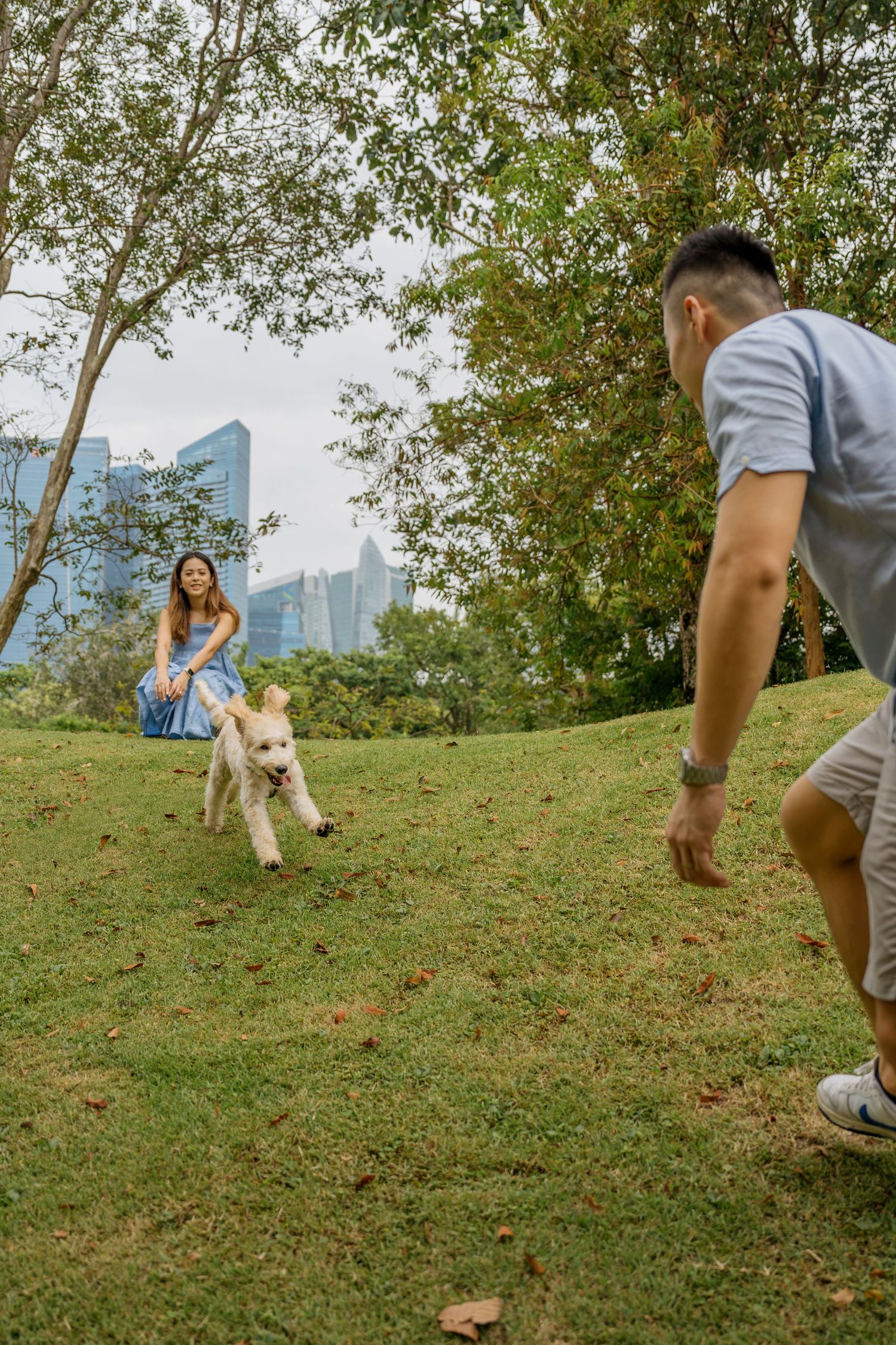 People and their dog play together on a grassy hillside with city buildings visible in the background.