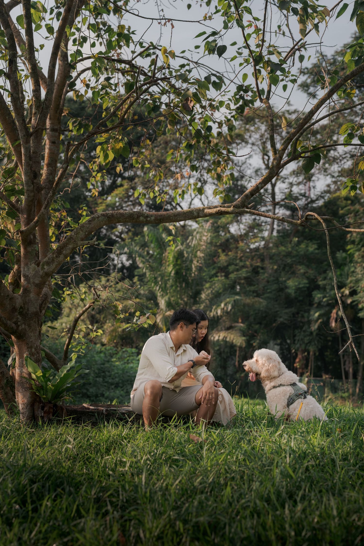 Couple sitting on grass with a white dog under a tree in a lush green park setting.