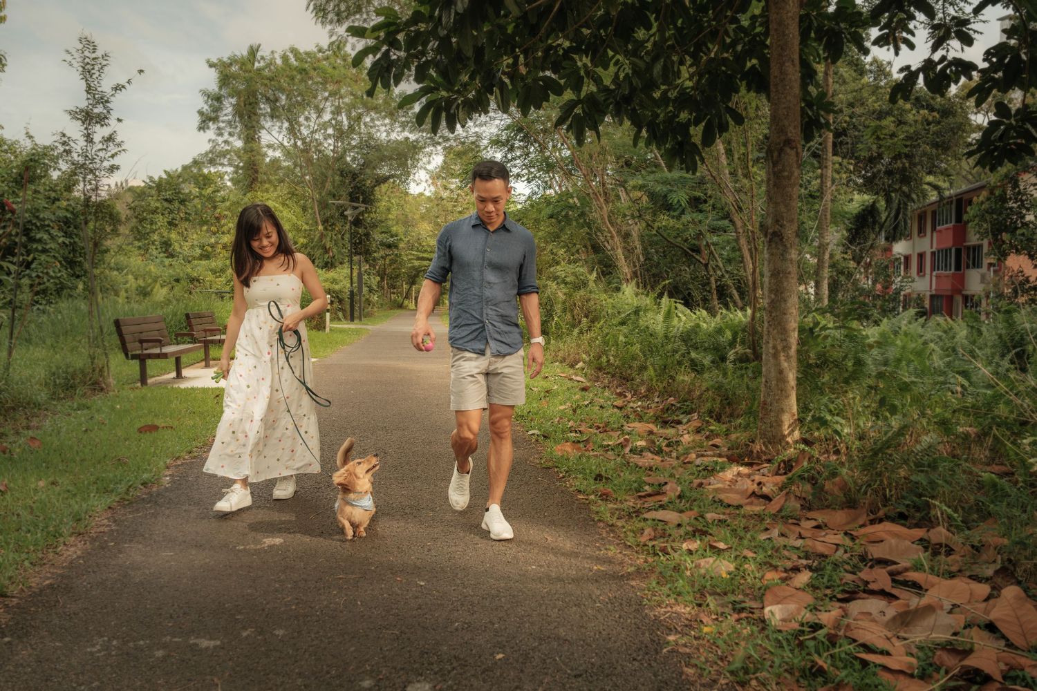 A couple walking their golden retriever on a tree-lined path.