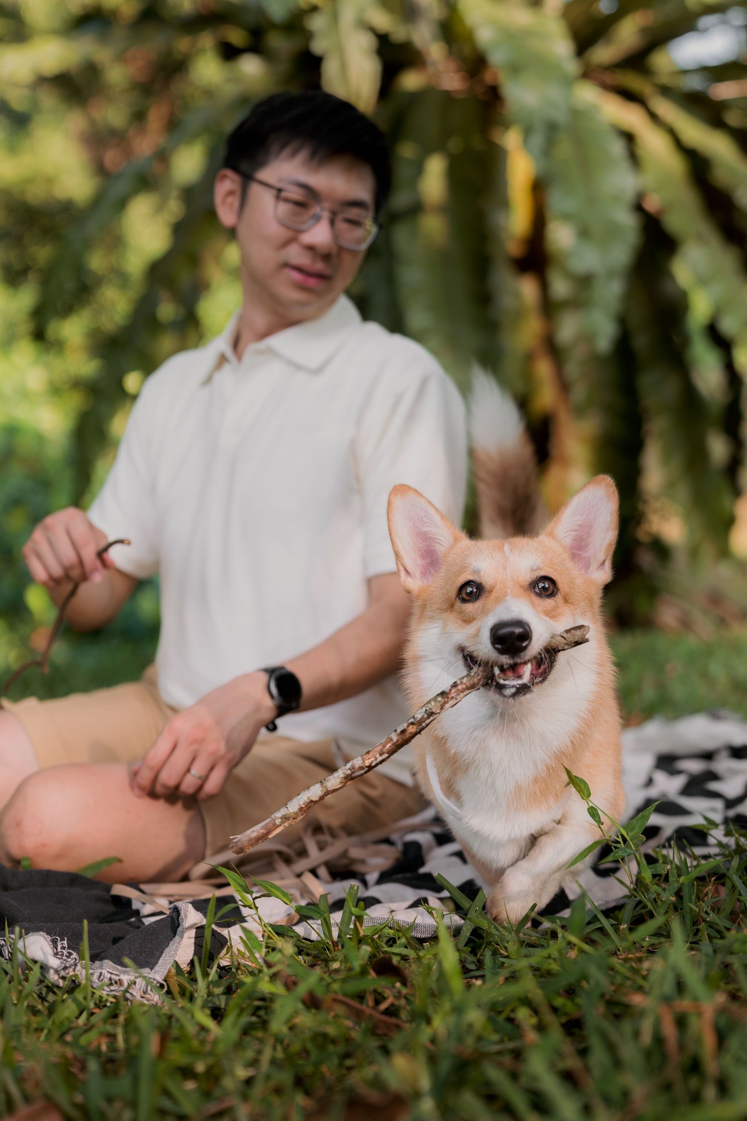 A man in glasses sits cross-legged on grass while a happy Corgi chews a stick in a lush green park.