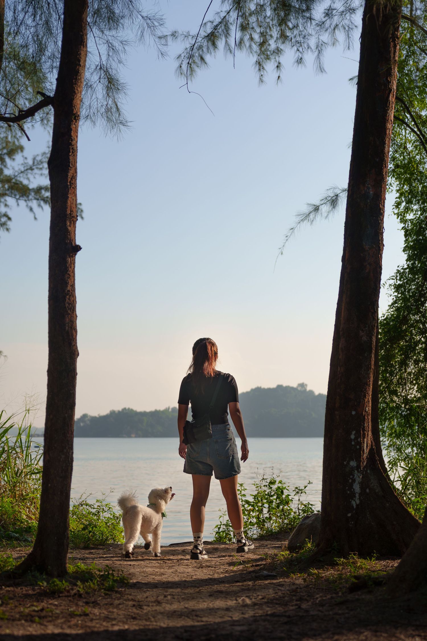 Silhouetted figures and a dog walk among tall trees along a misty waterfront at sunrise at Coney Island Singapore
