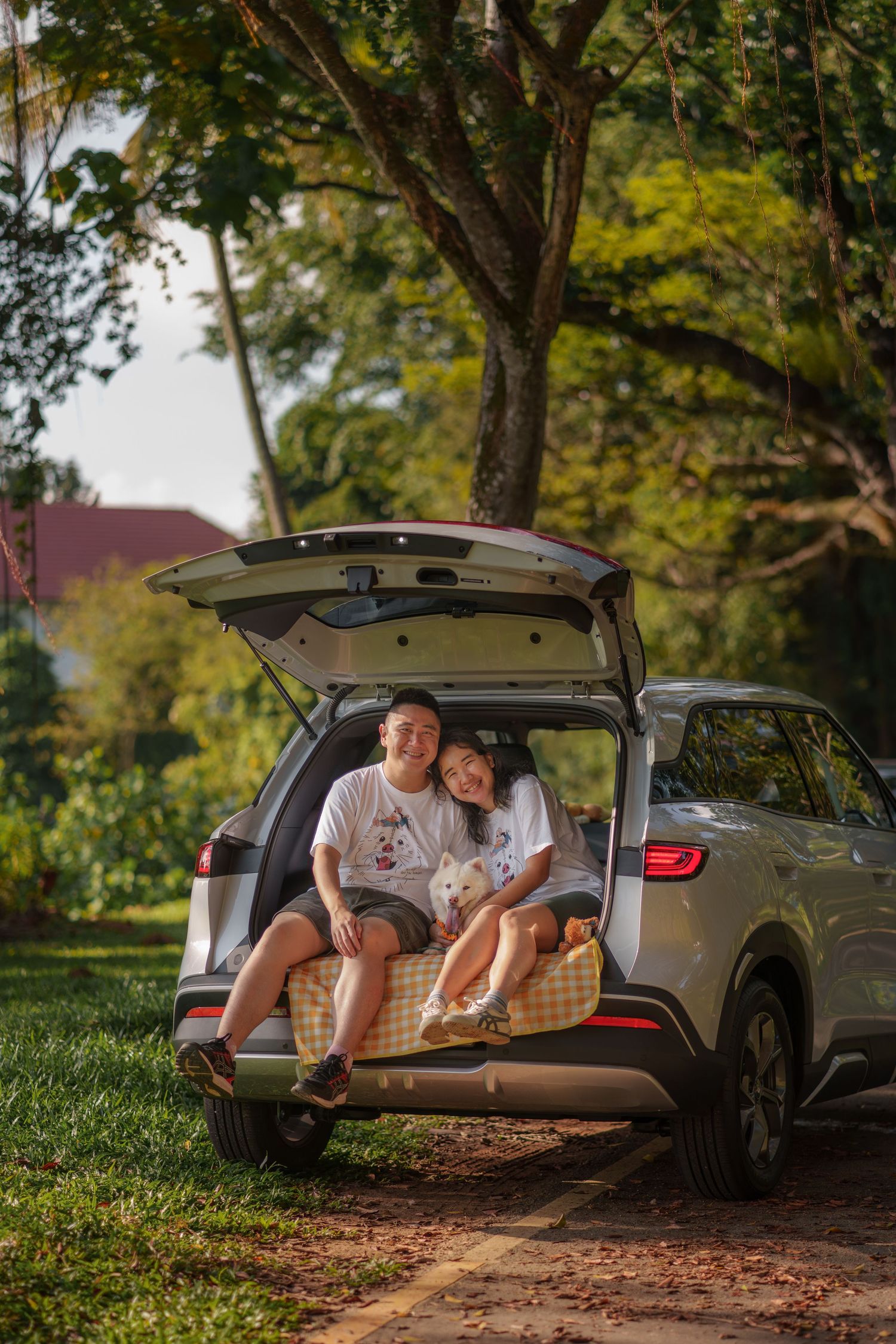 Car trunk picnic setup with blankets and pillows in a scenic outdoor location.