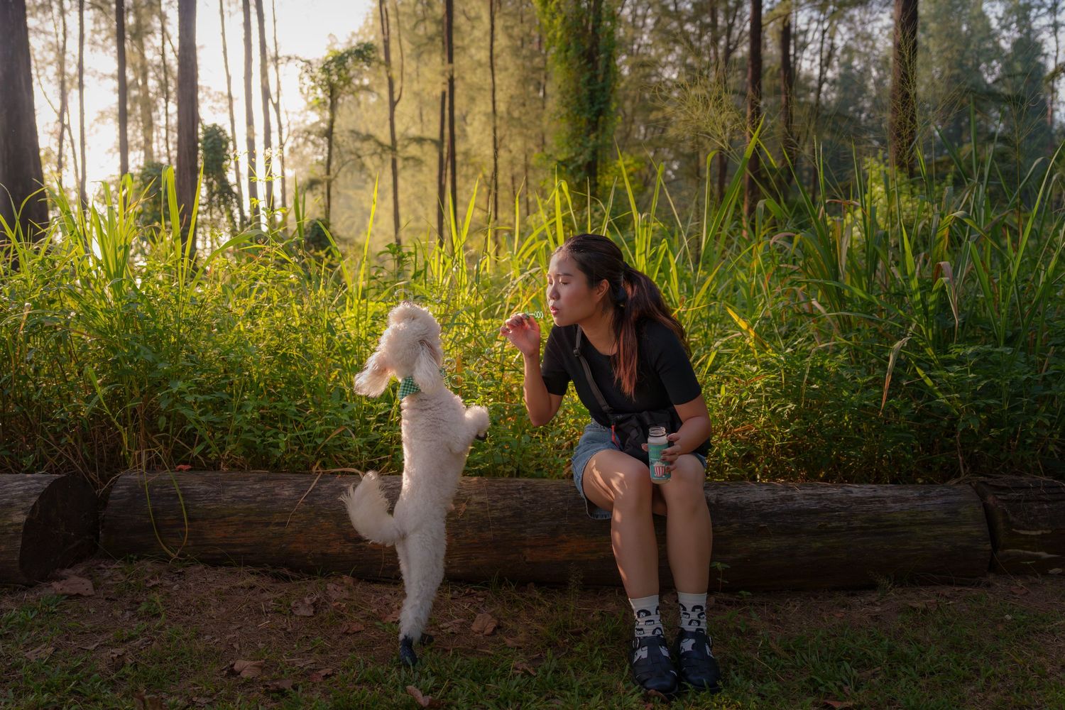 A person sitting on a log plays with a white dog with bubbles in a sunlit forest clearing during golden hour at Coney Island Singapore