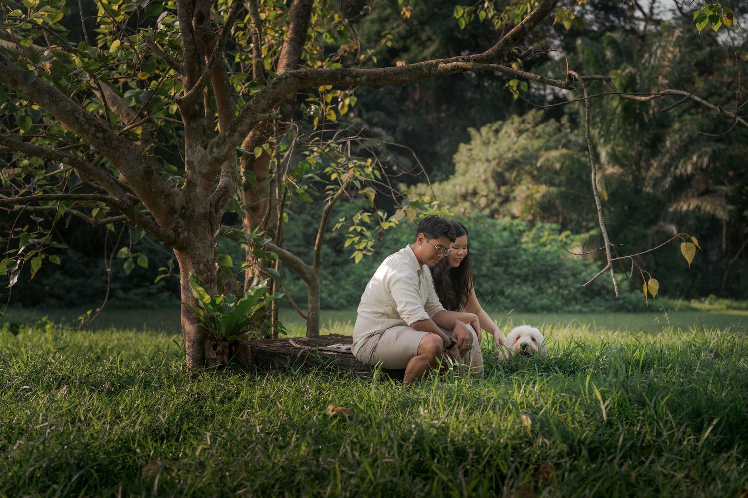 Couple sitting together under a tree in a lush green park, sharing a tender moment with a white dog.