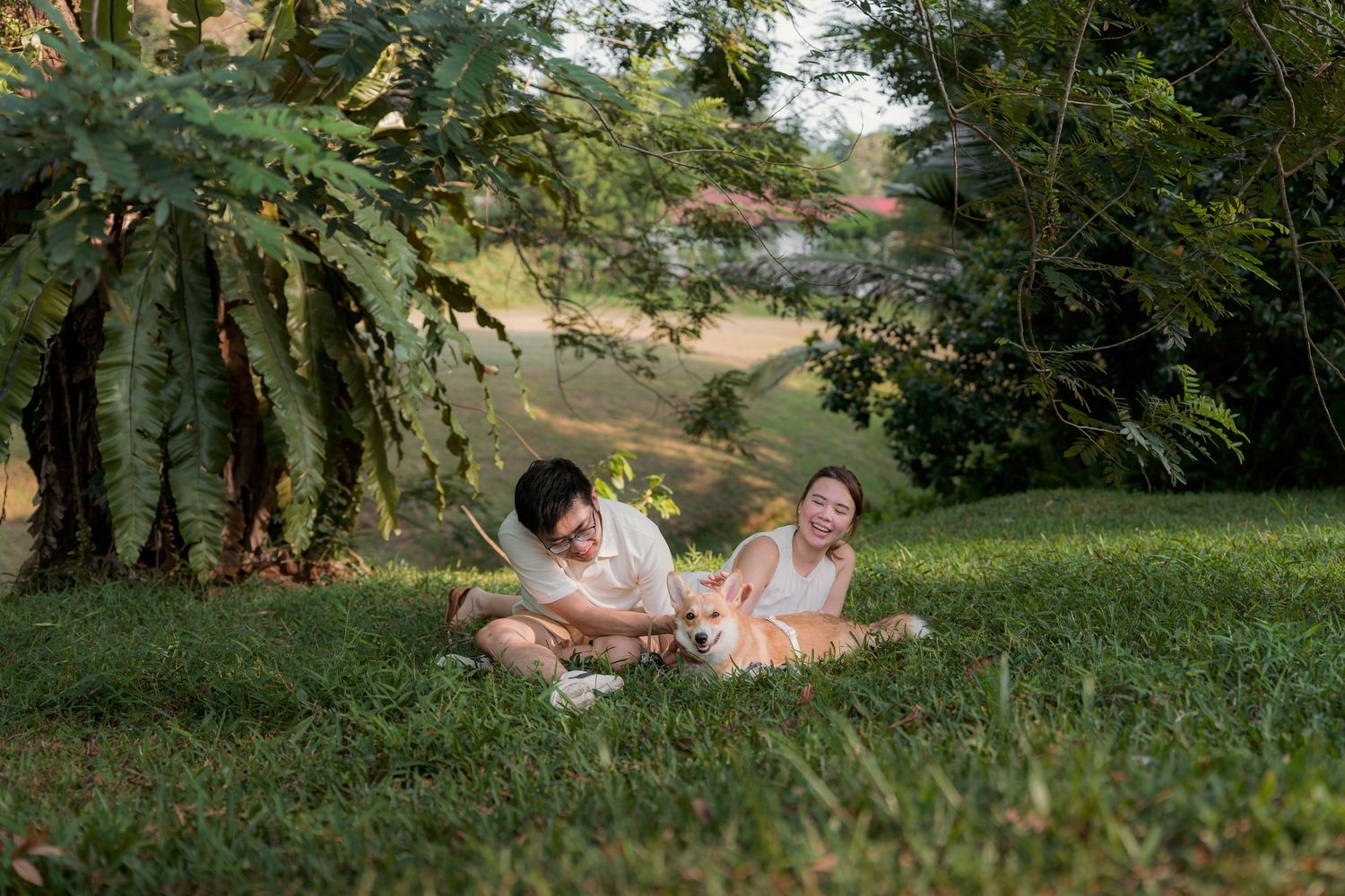 Couple sitting on lush green grass with a dog, surrounded by tropical trees in a serene outdoor park setting.
