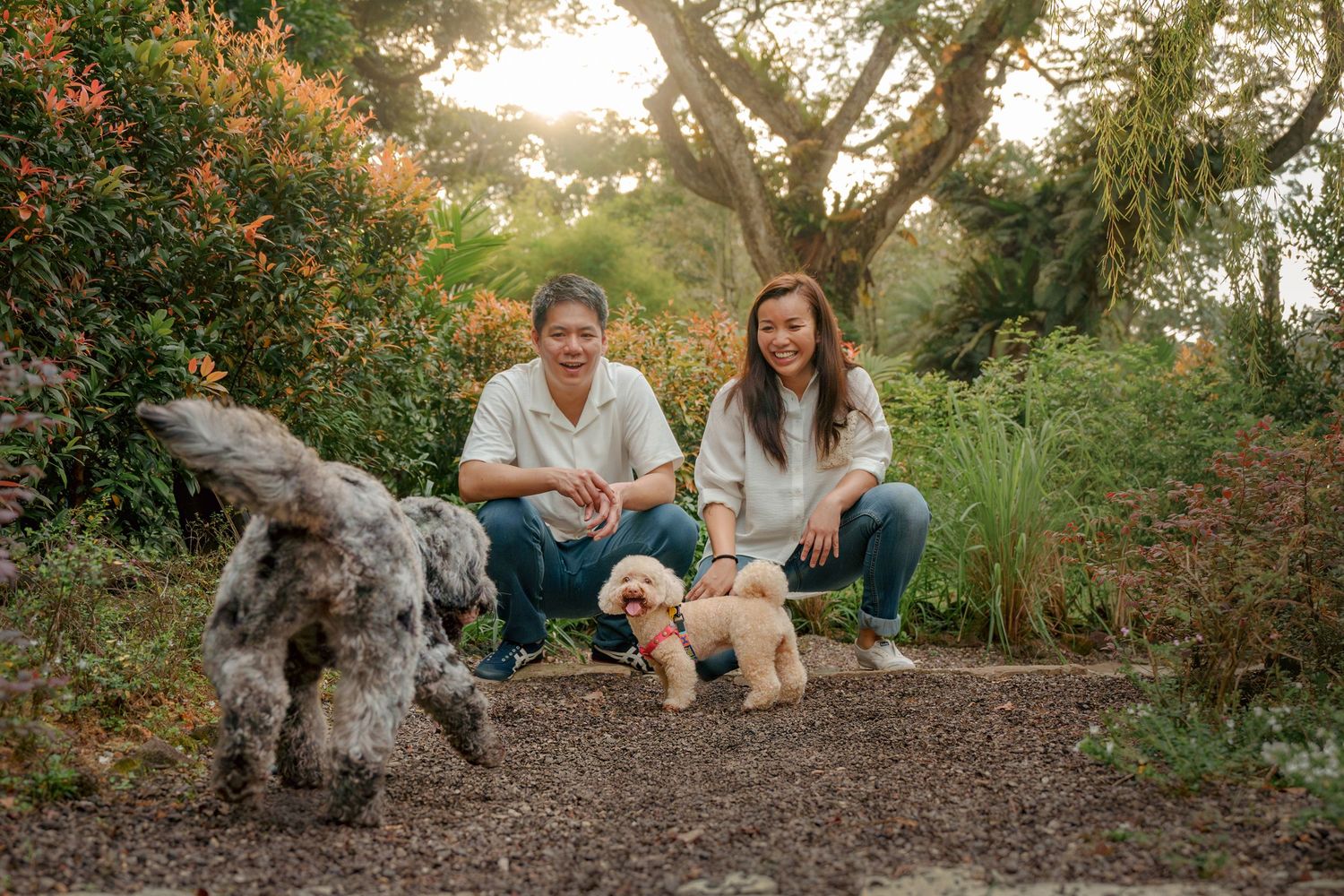Family and pets enjoying quality time together on a nature path.