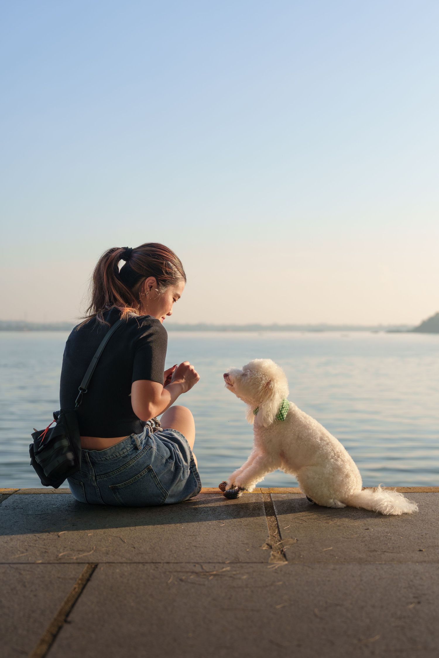 A person and small white dog sit together on a concrete ledge overlooking a calm ocean at sunrise at Coney Island Singapore