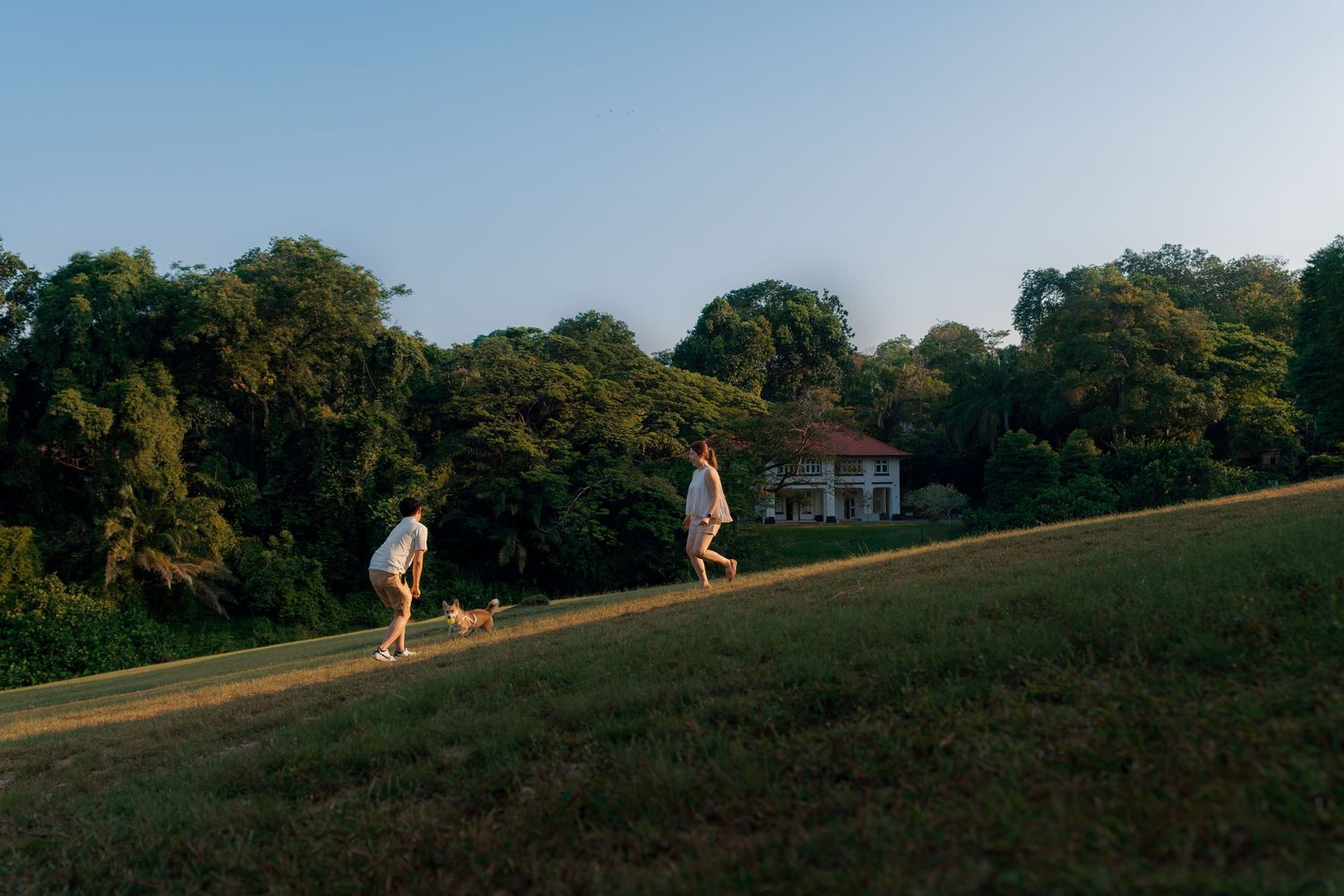 Two people walking a small dog on a sunlit grassy path with lush trees and a house in the background.