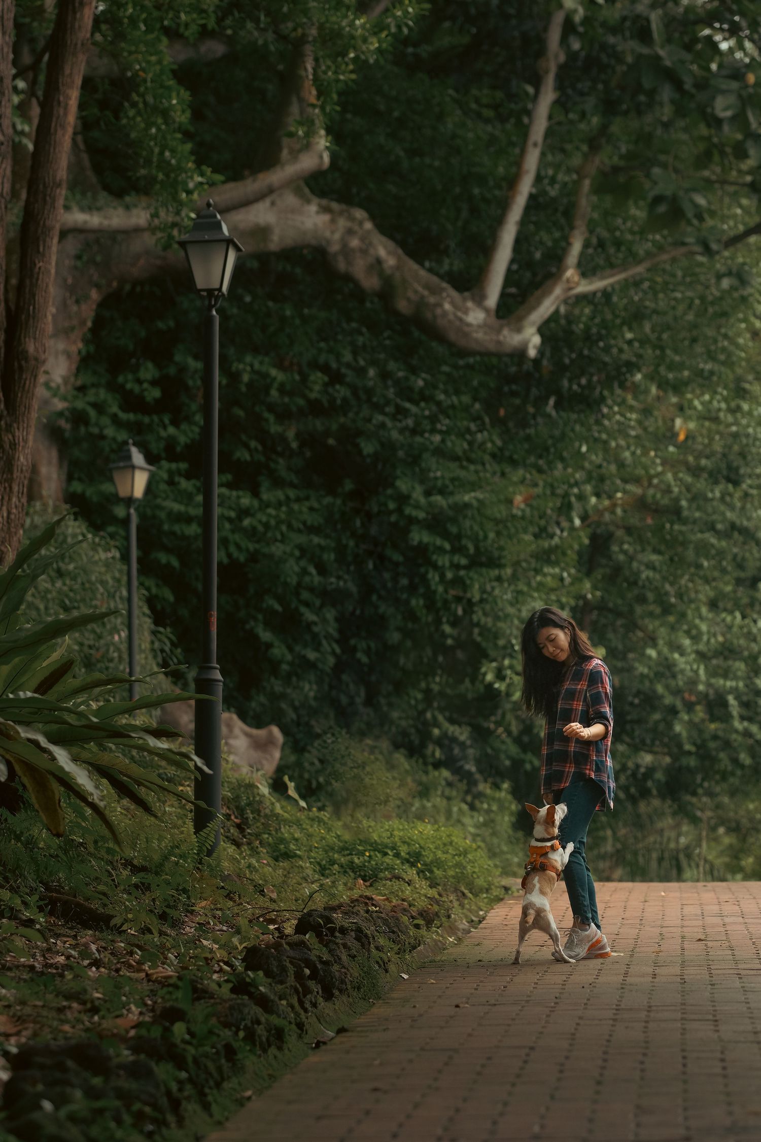 People walking with their dog on a brick pathway through a shaded park.
