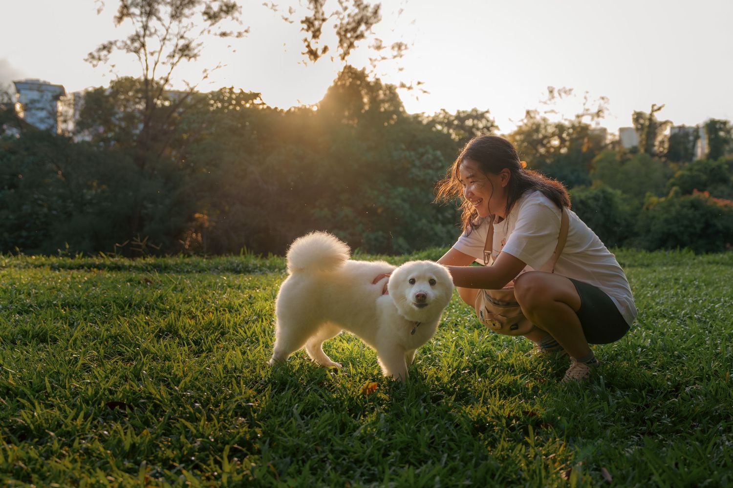 A person playing with a fluffy white dog on grass during golden hour.