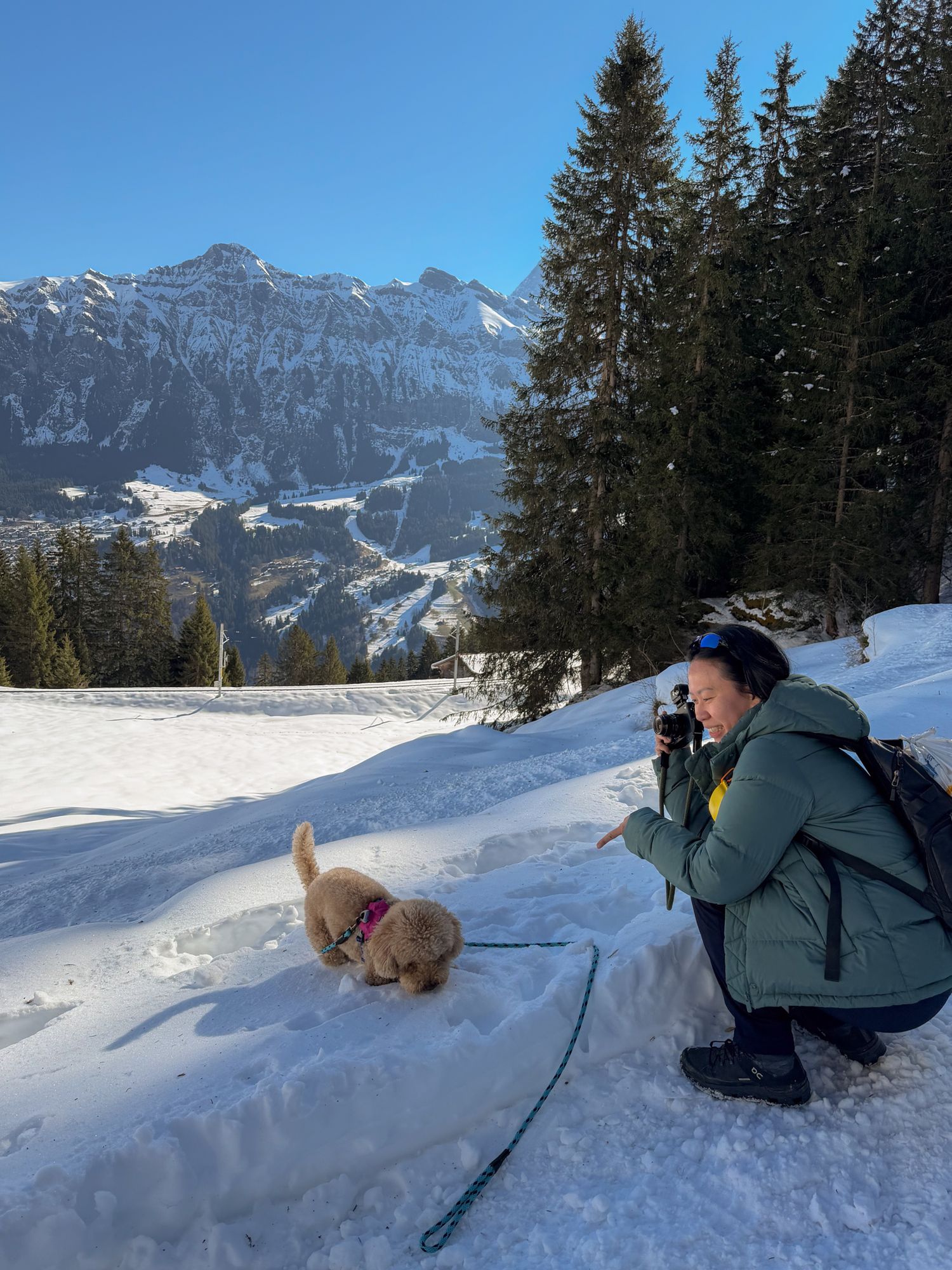Woman photographing a fluffy puppy in snowy alpine landscape with mountain views and evergreen trees on a sunny winter day.