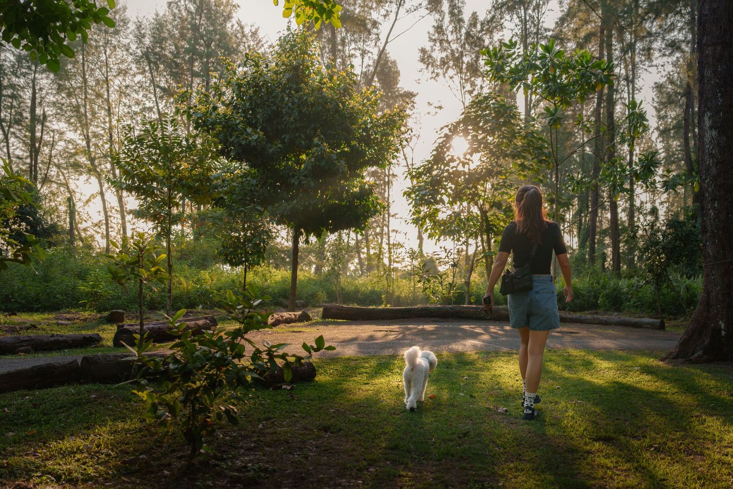 A serene panoramic view of a wooded park trail at sunset with golden light filtering through the trees at Coney Island Singapore