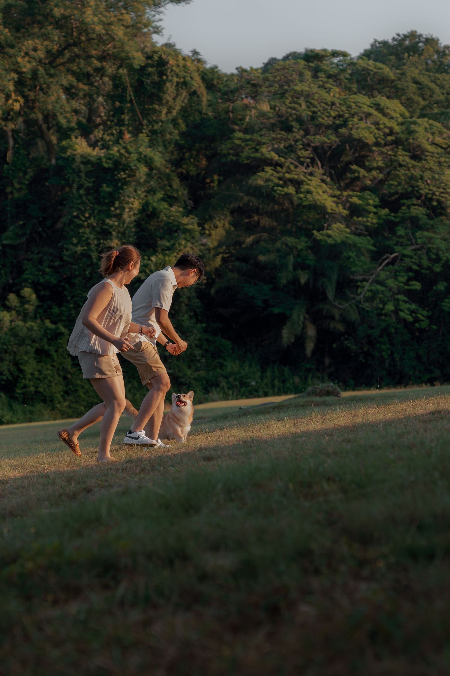 Couple walking with a Corgi dog on a grassy park path at sunset, with lush green trees in the background.