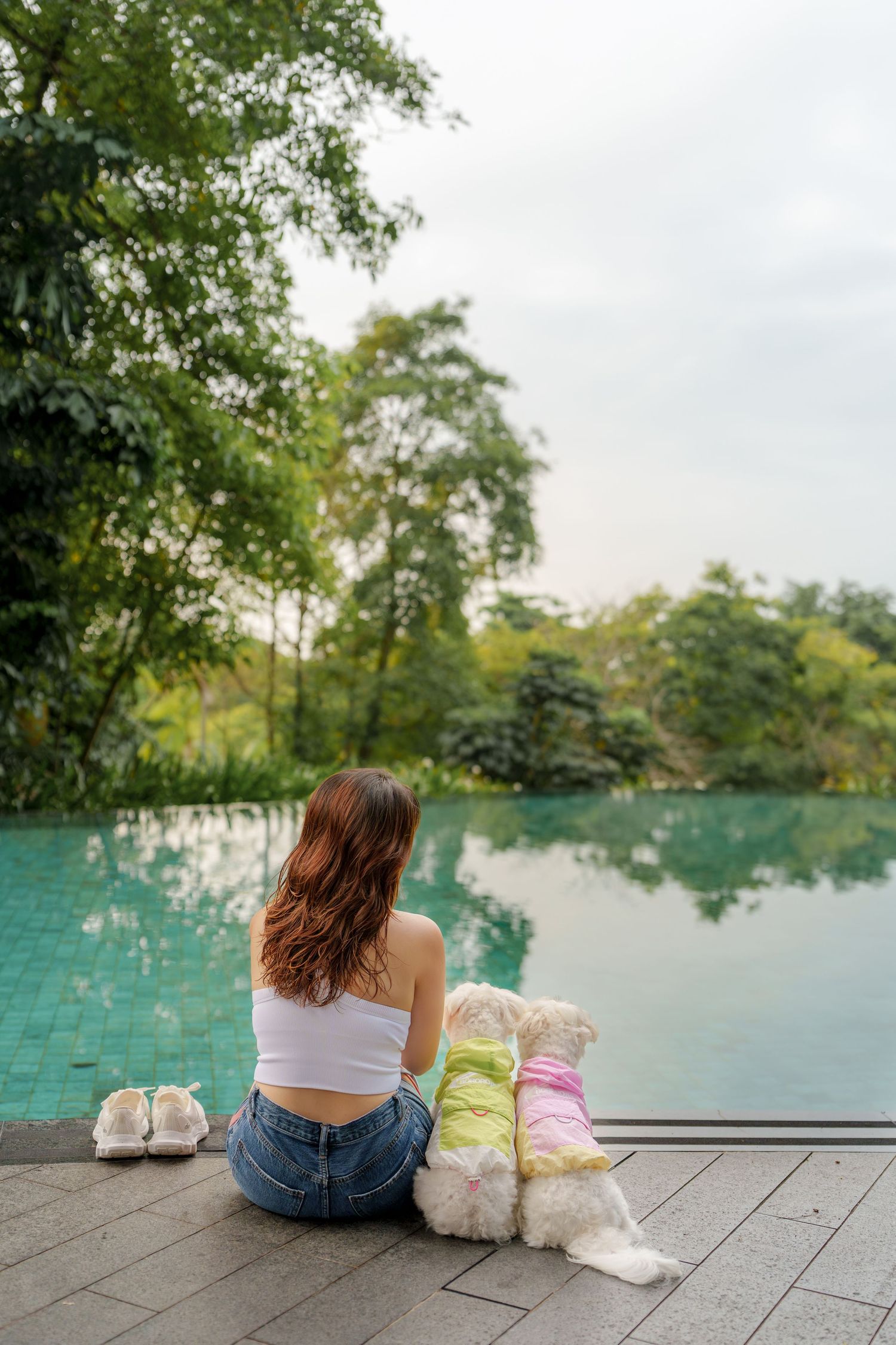A lady and her small white Maltese dogs sit together on a wooden deck overlooking a serene turquoise swimming pool at Capella Singapore