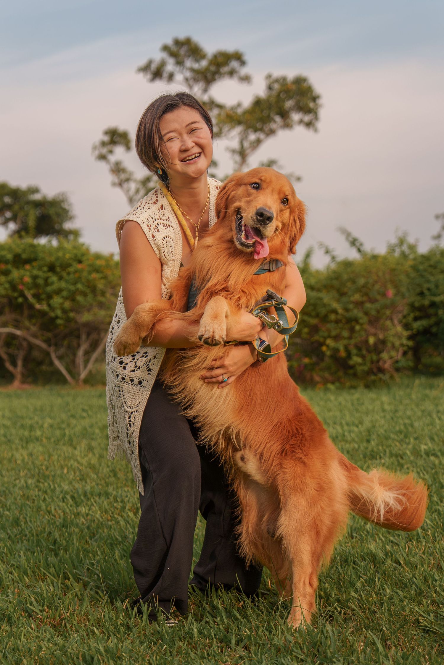 A person plays with a happy Golden Retriever dog in a grassy outdoor setting during golden hour at East Coast Park Singapore