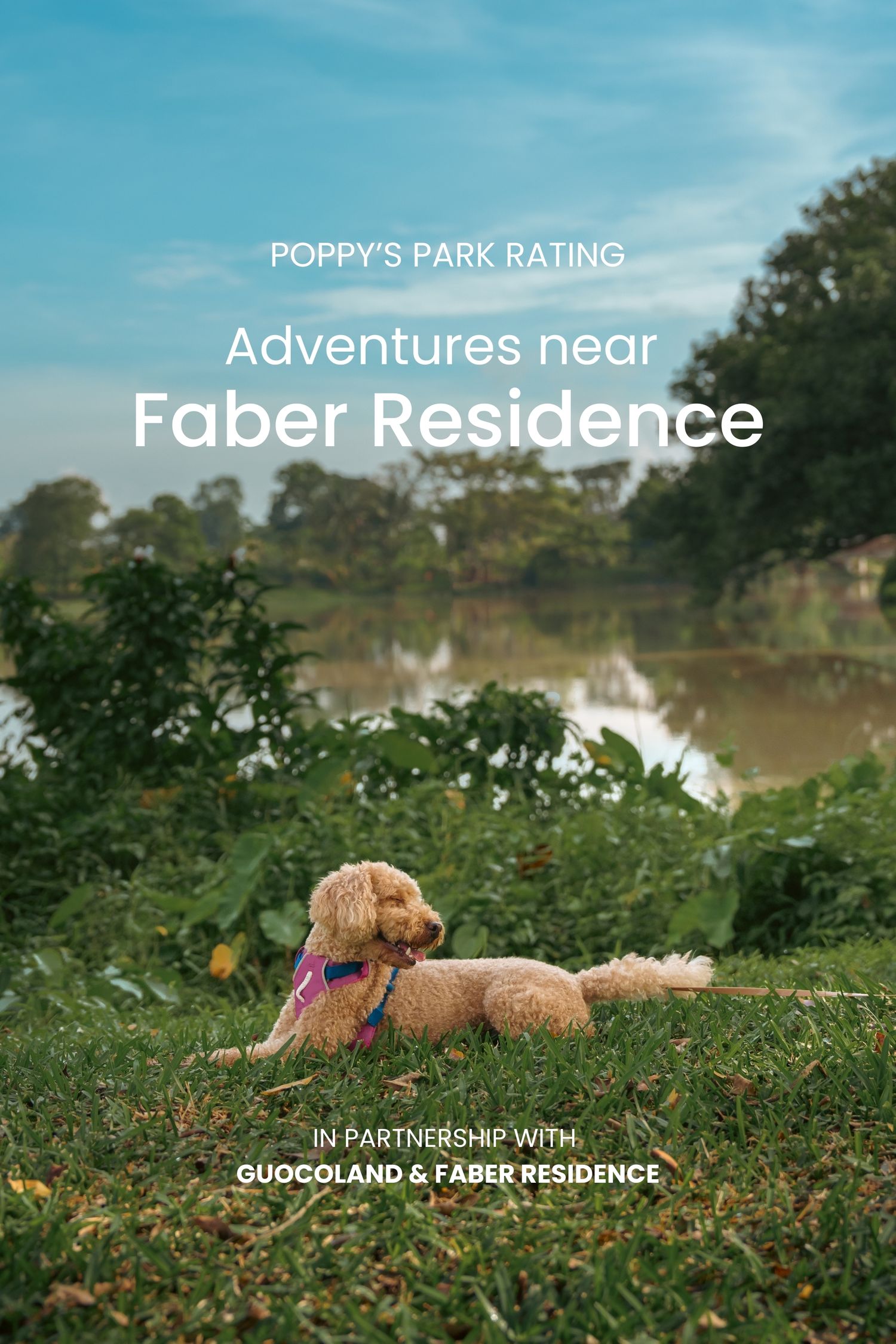 Golden dog lounging in grassy park area with lake view and text overlay about Poppy's Park Rating.