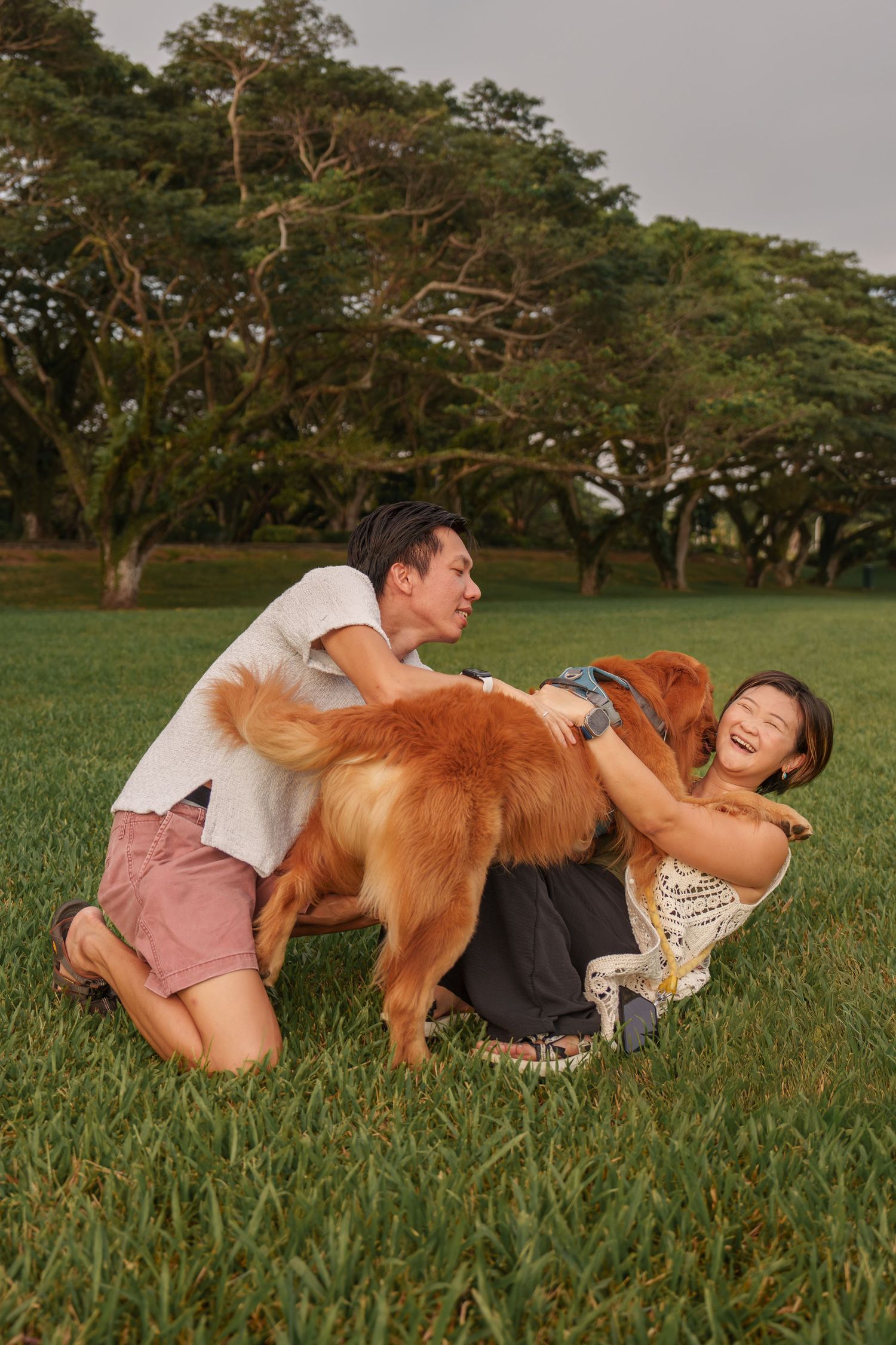 Playful Golden Retriever and a couple enjoying a fun moment together on a grassy field during golden hour at East Coast Park Singapore