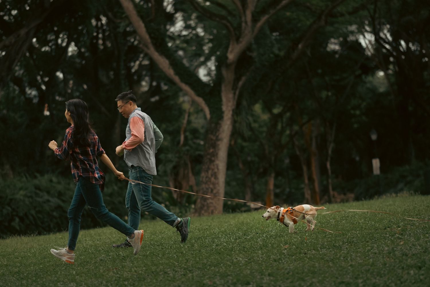 Dog and companions enjoying a walk through a wooded park area.