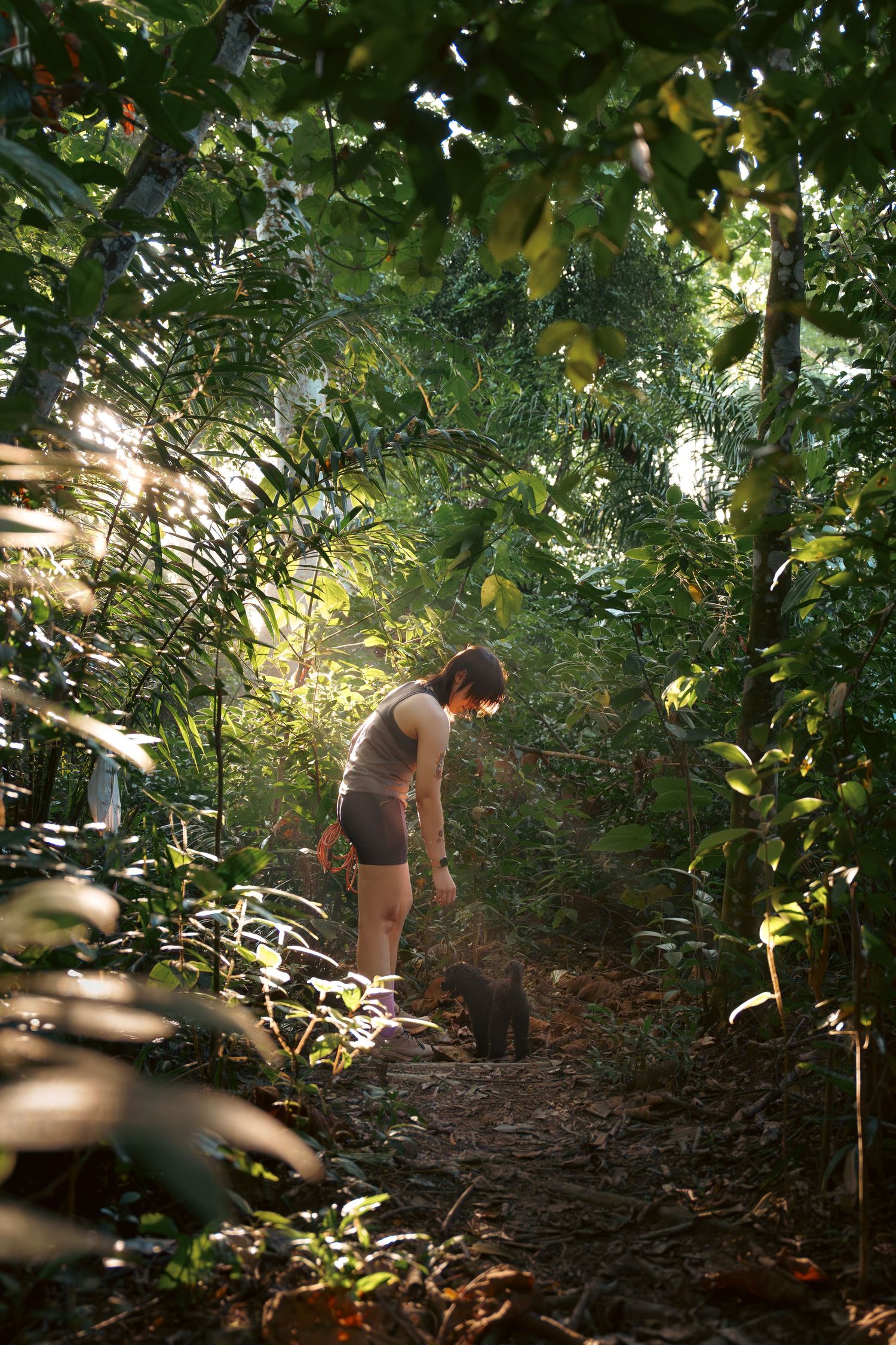 A person stands on a shaded forest path surrounded by lush green foliage and dappled sunlight with her small black toy poodle at Bukit Brown