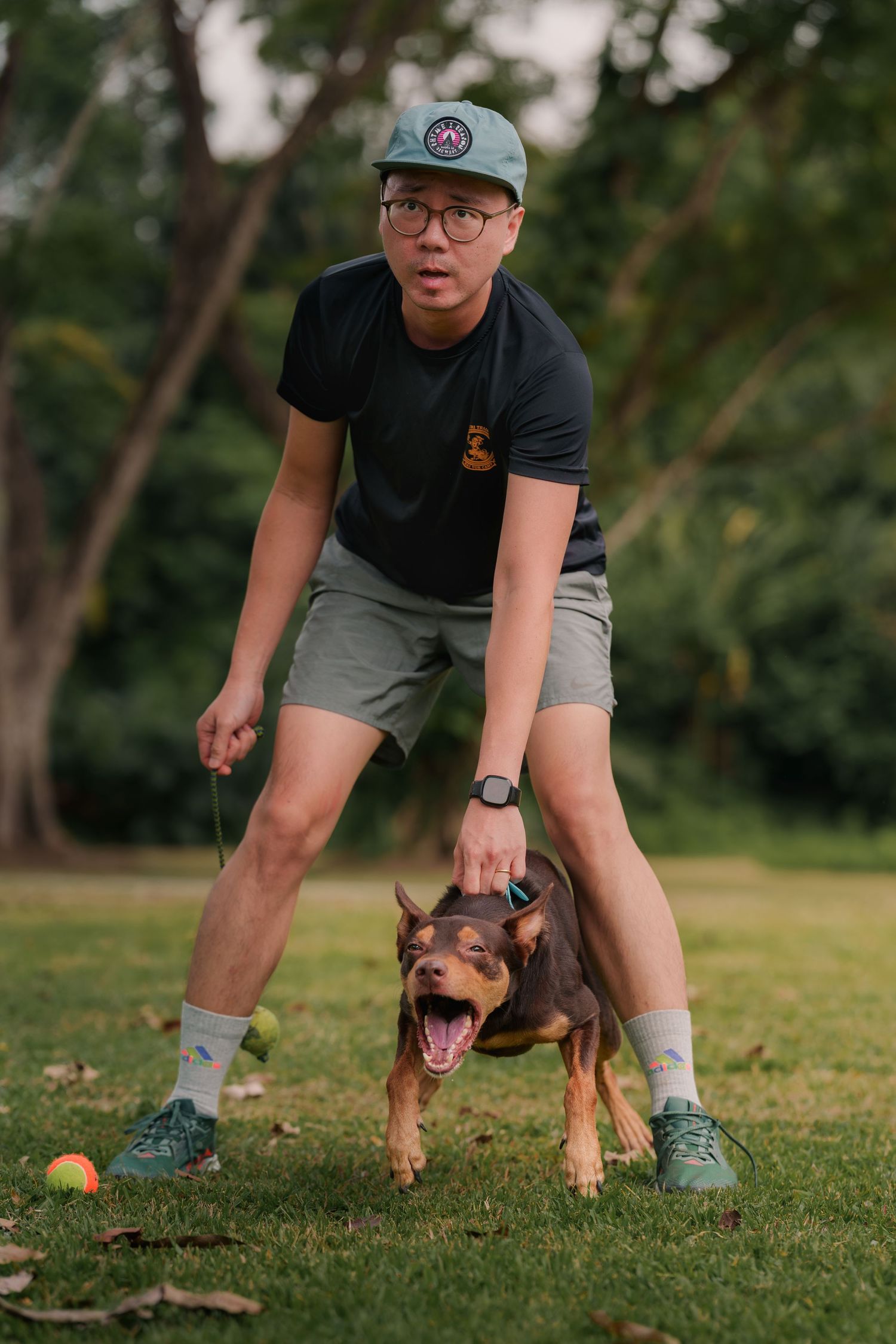 Person in a baseball cap and shorts plays with an energetic brown and black dog kelpie on a grassy lawn during outdoor playtime.
