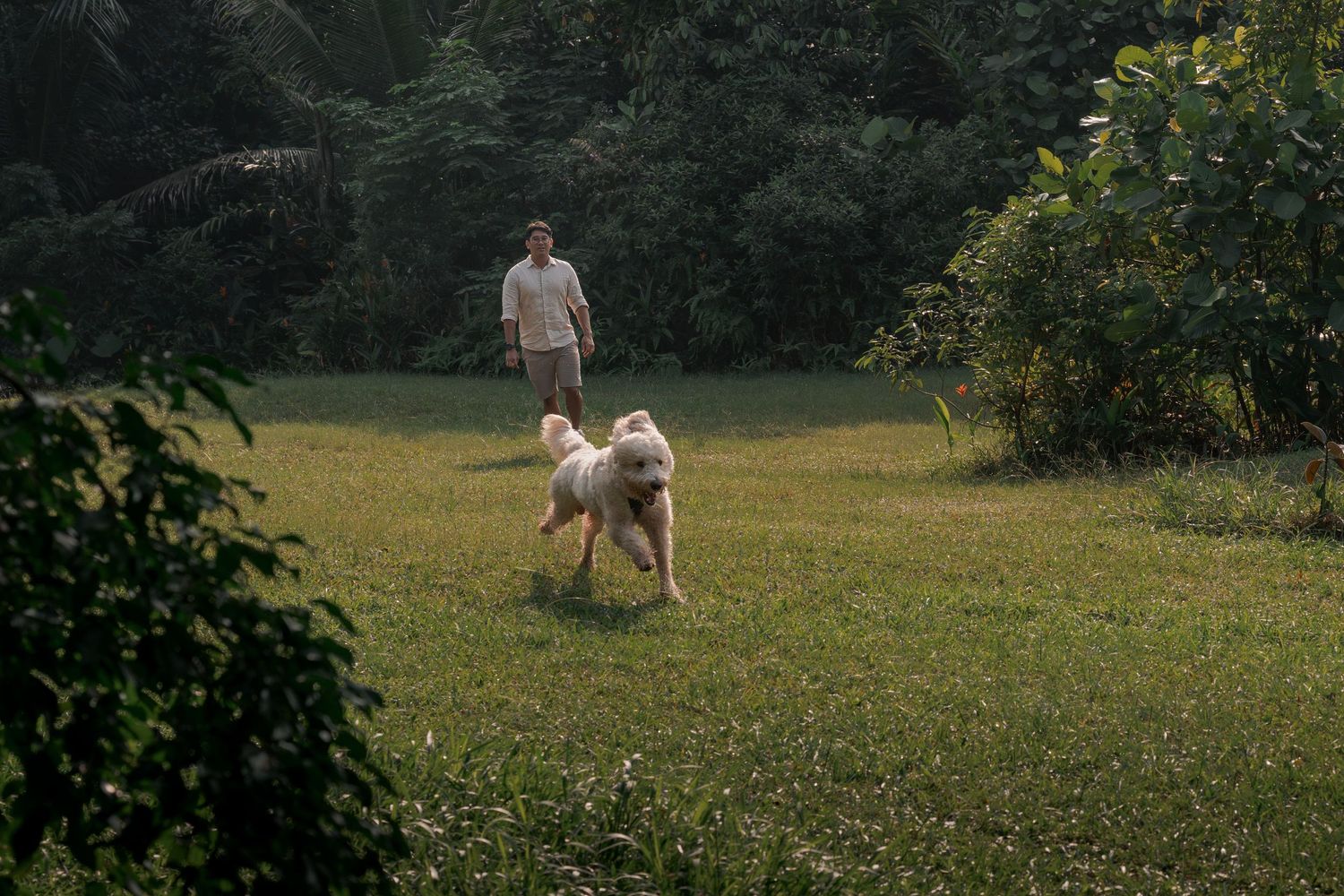 A golden dog runs freely across a green lawn while a man walks behind in a lush, tree-lined park.