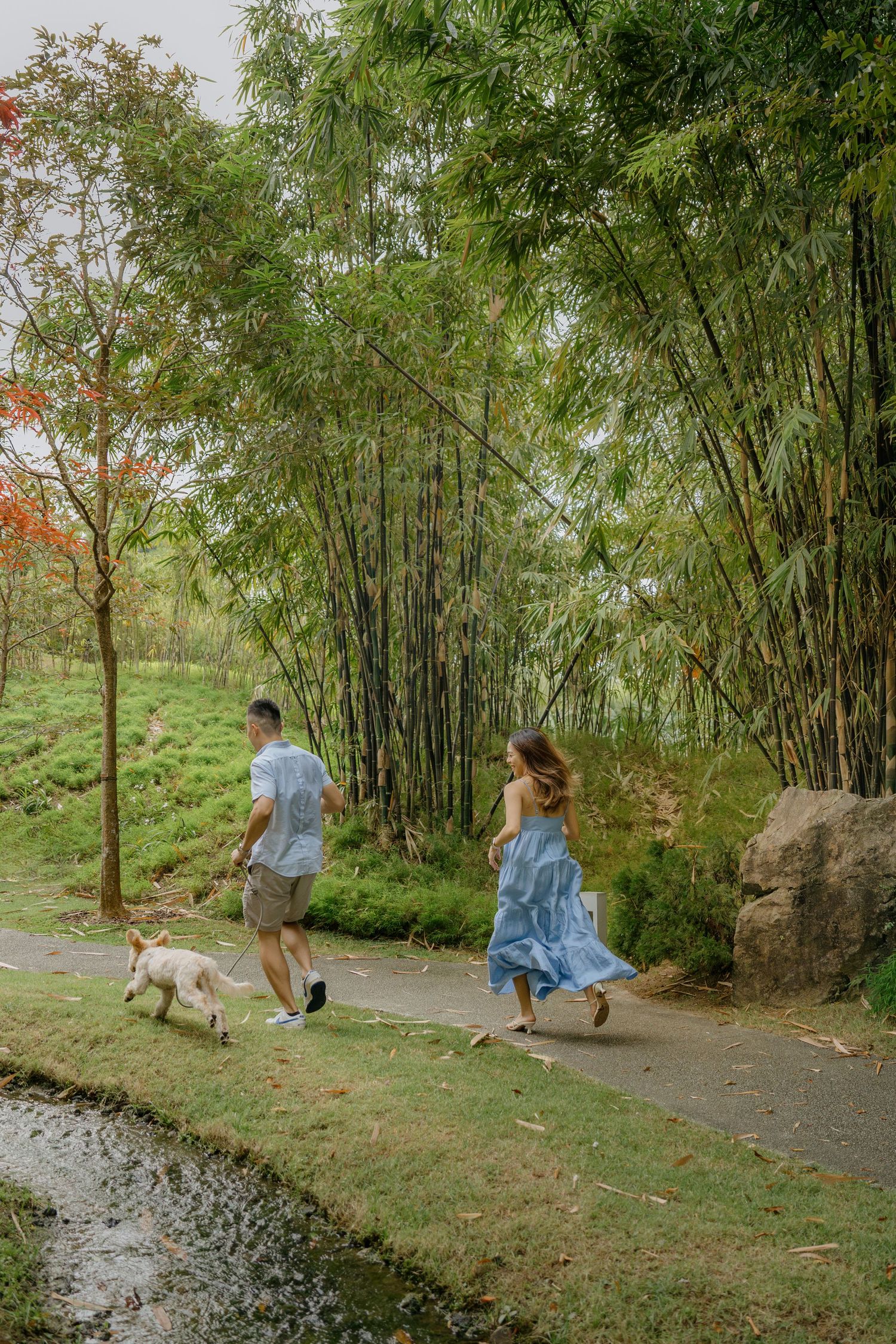 A couple walks their dog along a winding path bordered by bamboo trees in a peaceful park setting.
