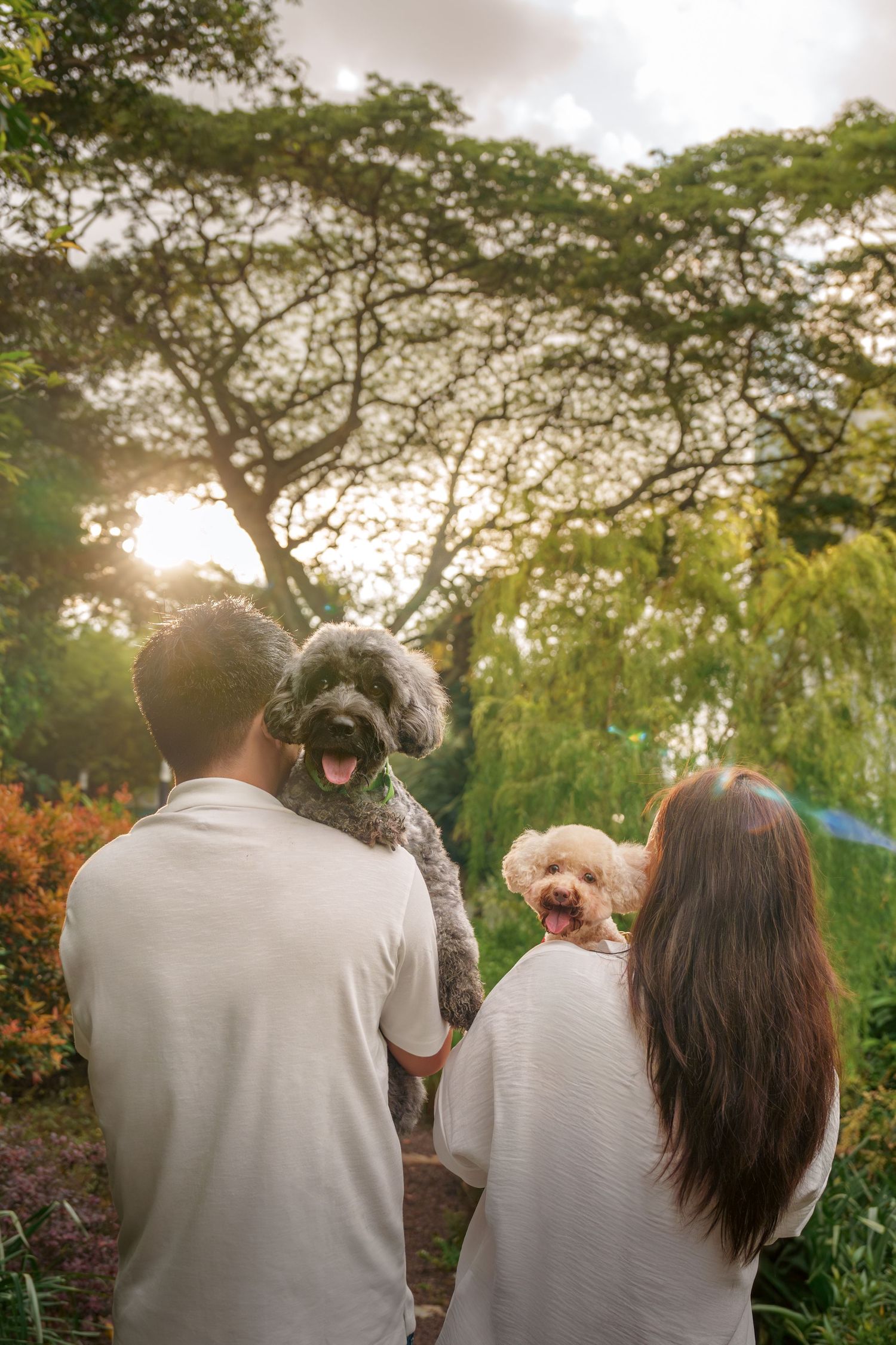 A couple sits outdoors with their small fluffy dog during golden hour in a park setting at Hort Park