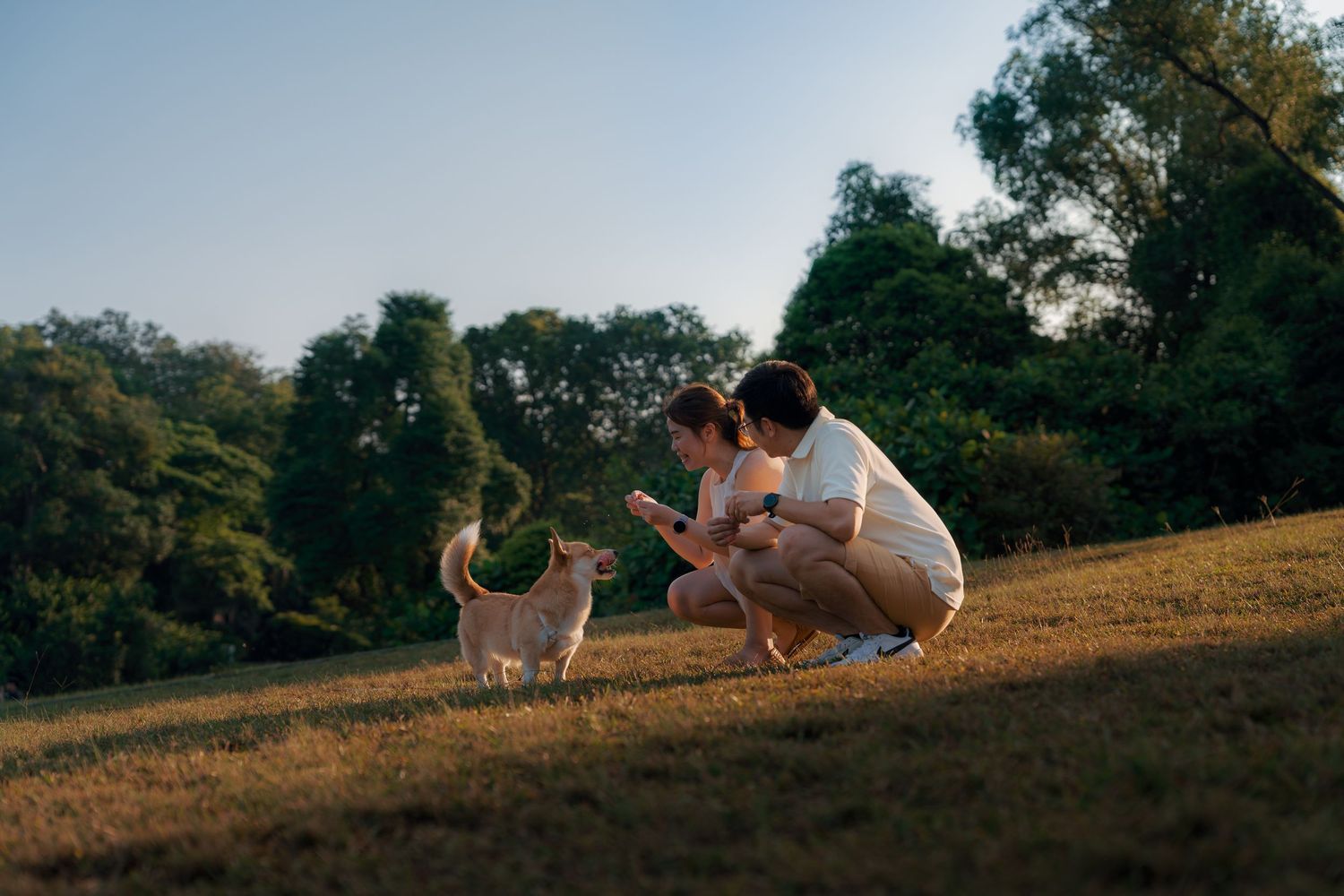 Couple crouching together in a sunny park, interacting with a small dog on a grassy hill surrounded by trees.