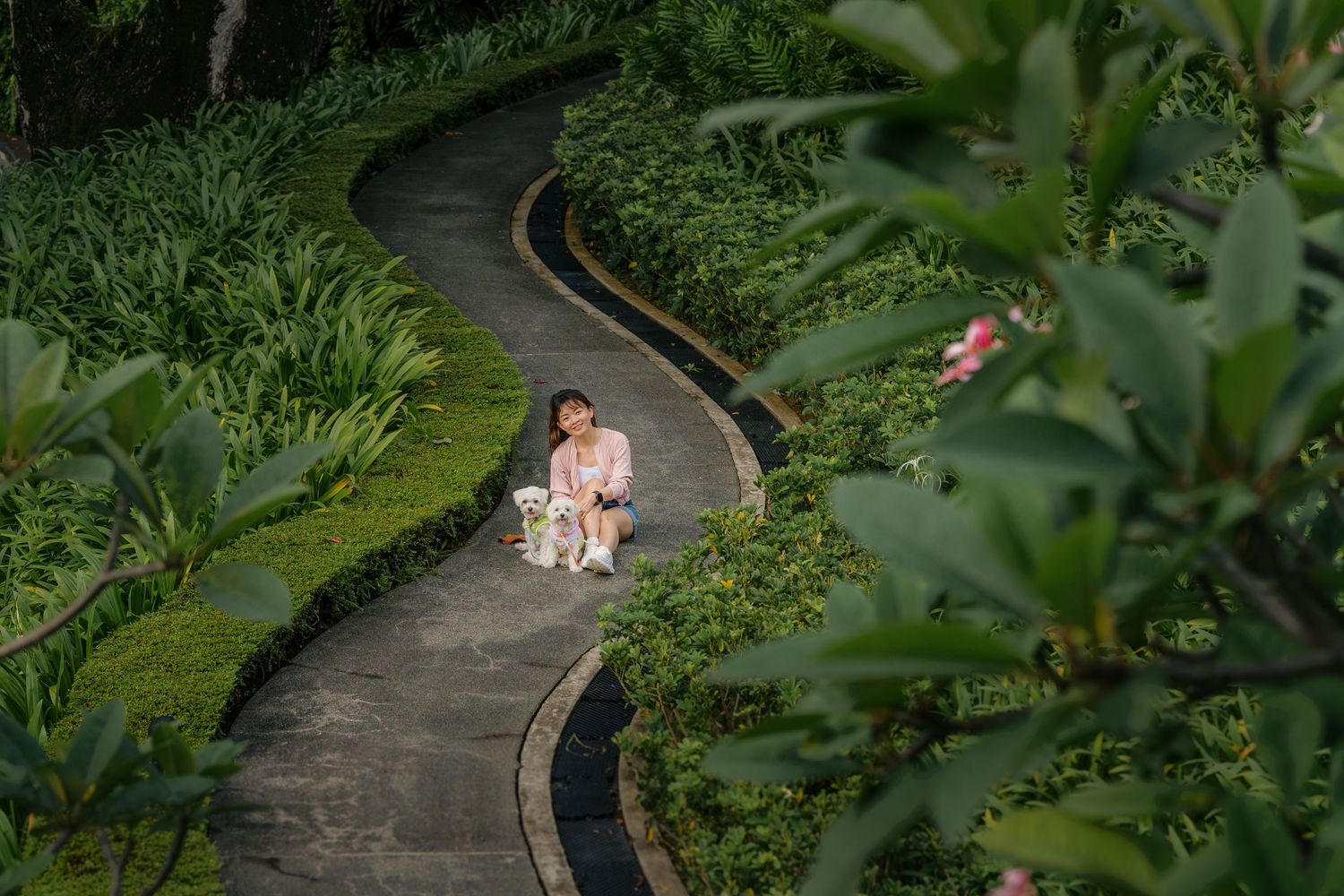 Lady and her two Maltese dogs walking along a winding garden path surrounded by lush greenery and manicured hedges at Capella Singapore