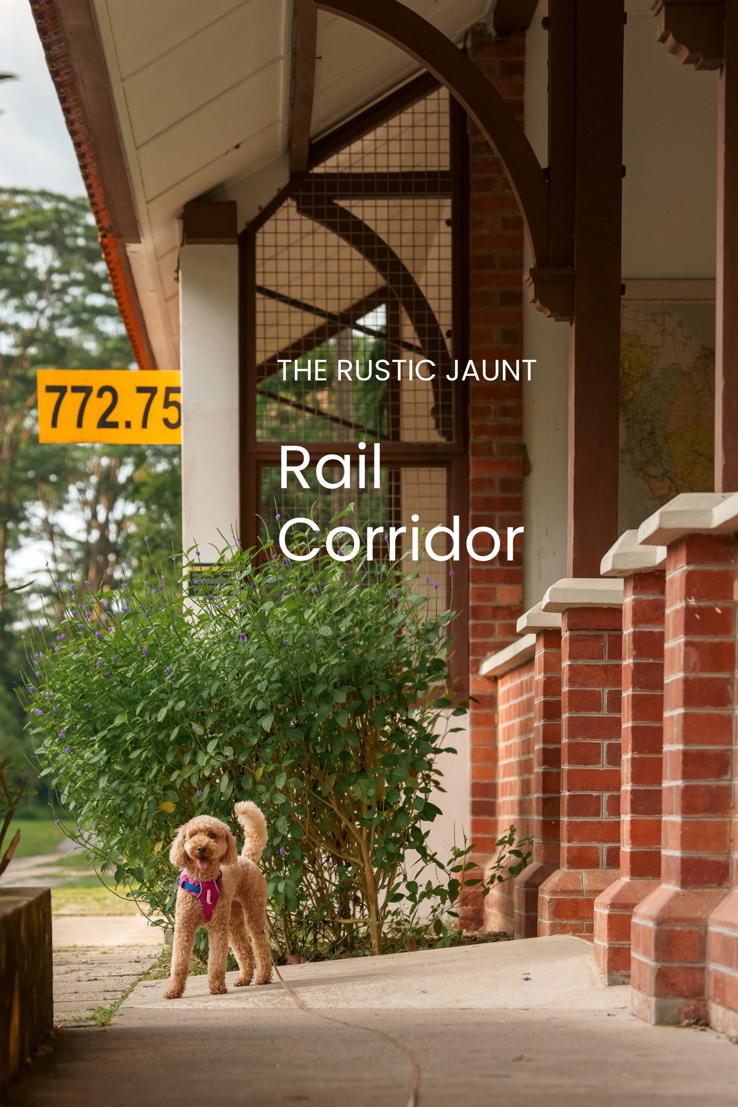 Dog walking along covered brick corridor with text overlay about The Rustic Jaunt.
