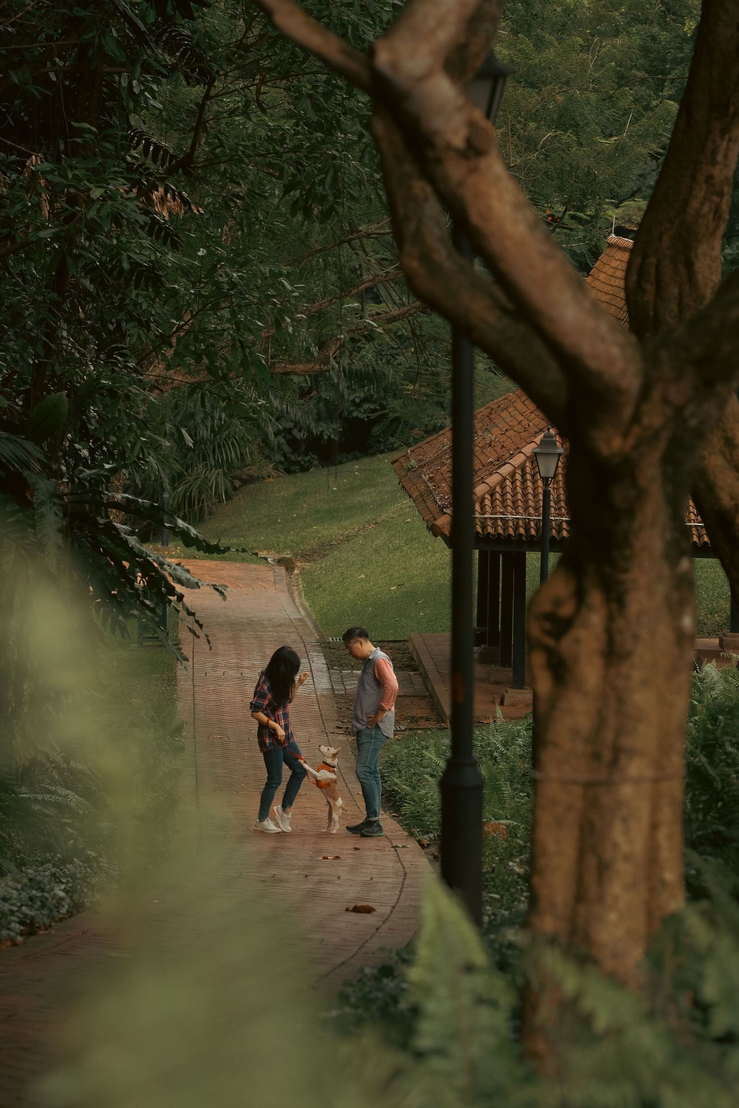 A couple plays with their puppy on a tree-lined course with brick structures in the background at Fort Canning