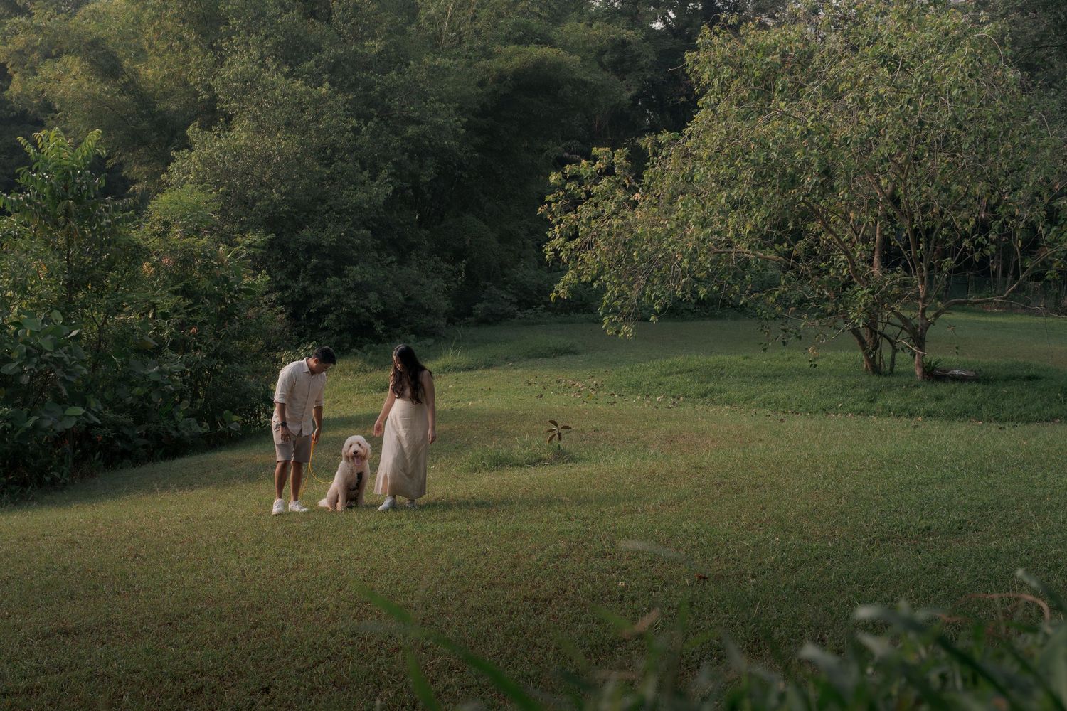 Couple walking with a fluffy white dog on a lush green lawn surrounded by trees.