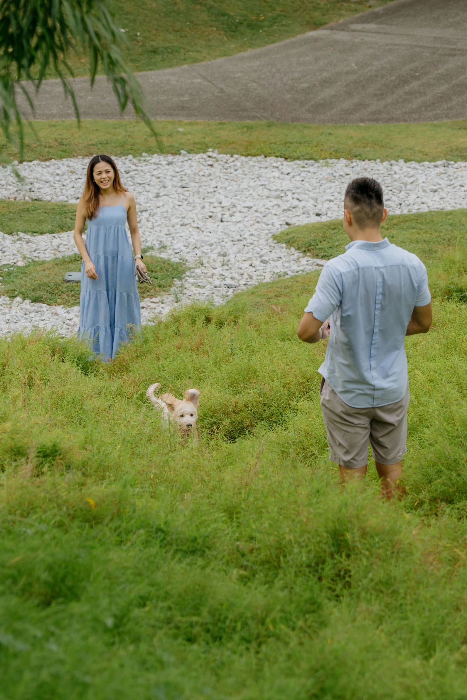 A couple and their golden retriever puppy navigate through tall grass in Gardens by the Bay, Singapore. Serene Garden in the Gardens