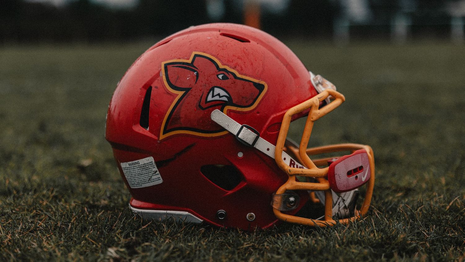 Red football helmet lying on grass field during sunset or sunrise.