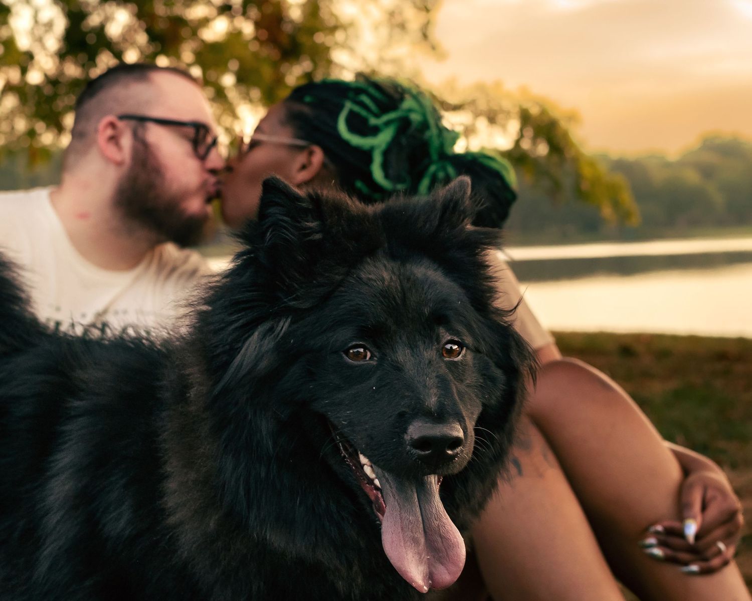 couple kissing in the background being photobombed in the foreground by their fluffy black dog that appears to be smiling at camera.