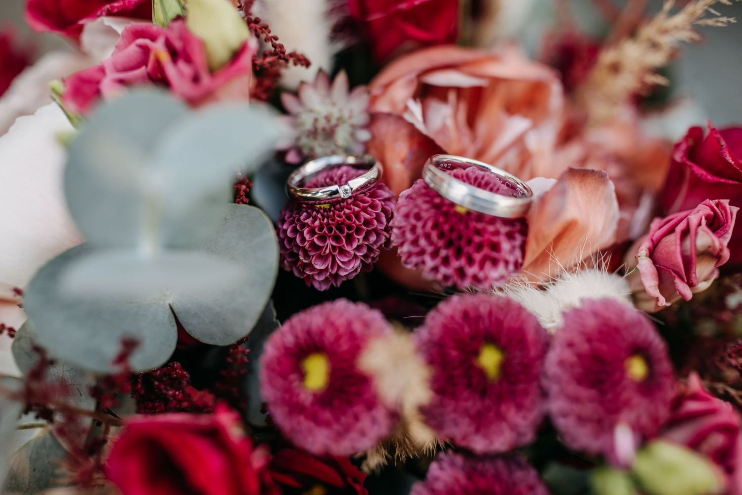 Hochzeitsringe als Detailaufnahme in floraler Dekoration während der Reportage