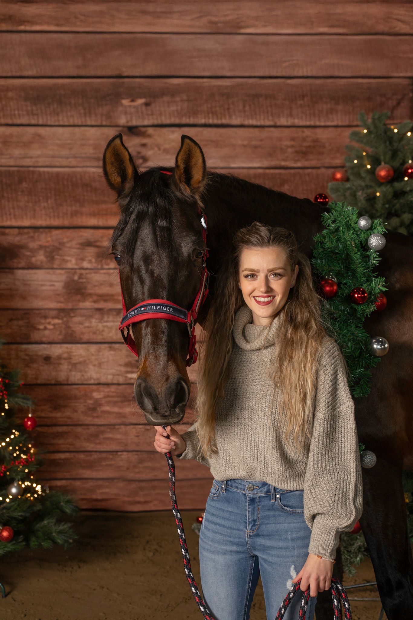 A black horse poses for holiday photos with Christmas decorations and wooden backdrop.