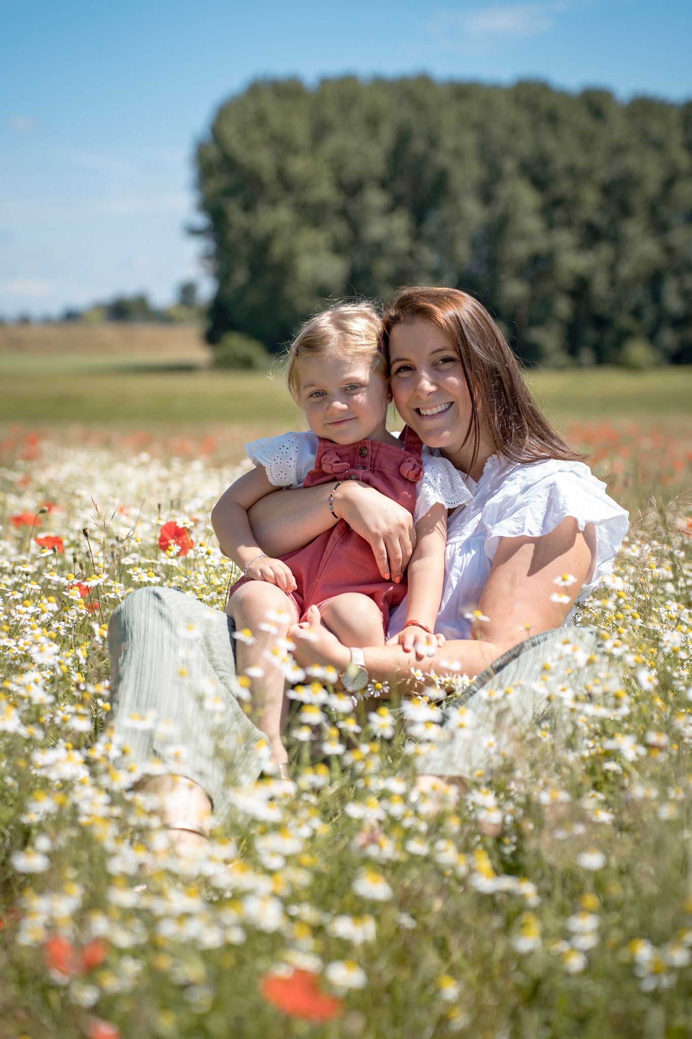 Peaceful summer scene in a meadow filled with daisies and wild poppies.