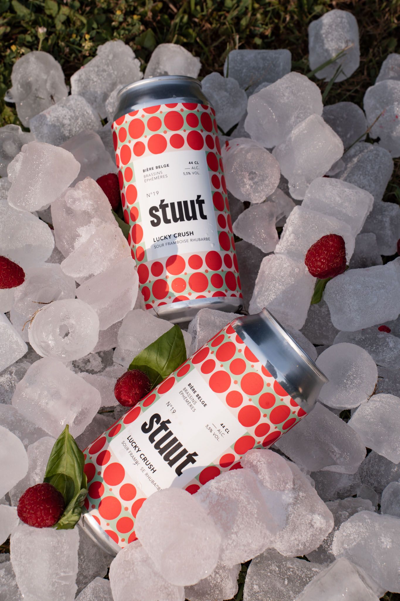 Red and white polka dot beverage cans scattered on crushed ice with berries.