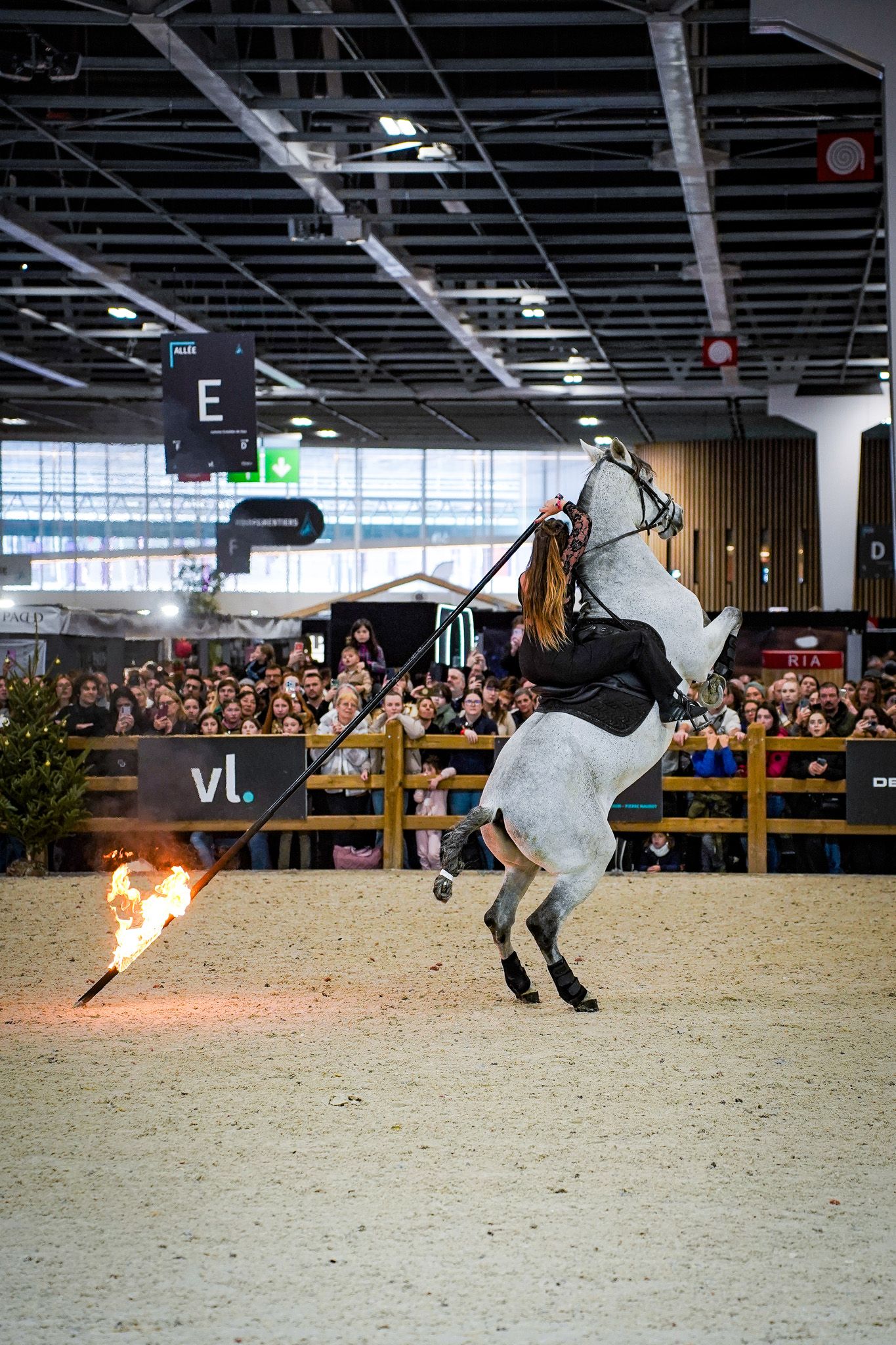 Equestrian performer executes dramatic stunt with fire on white horse in indoor arena.