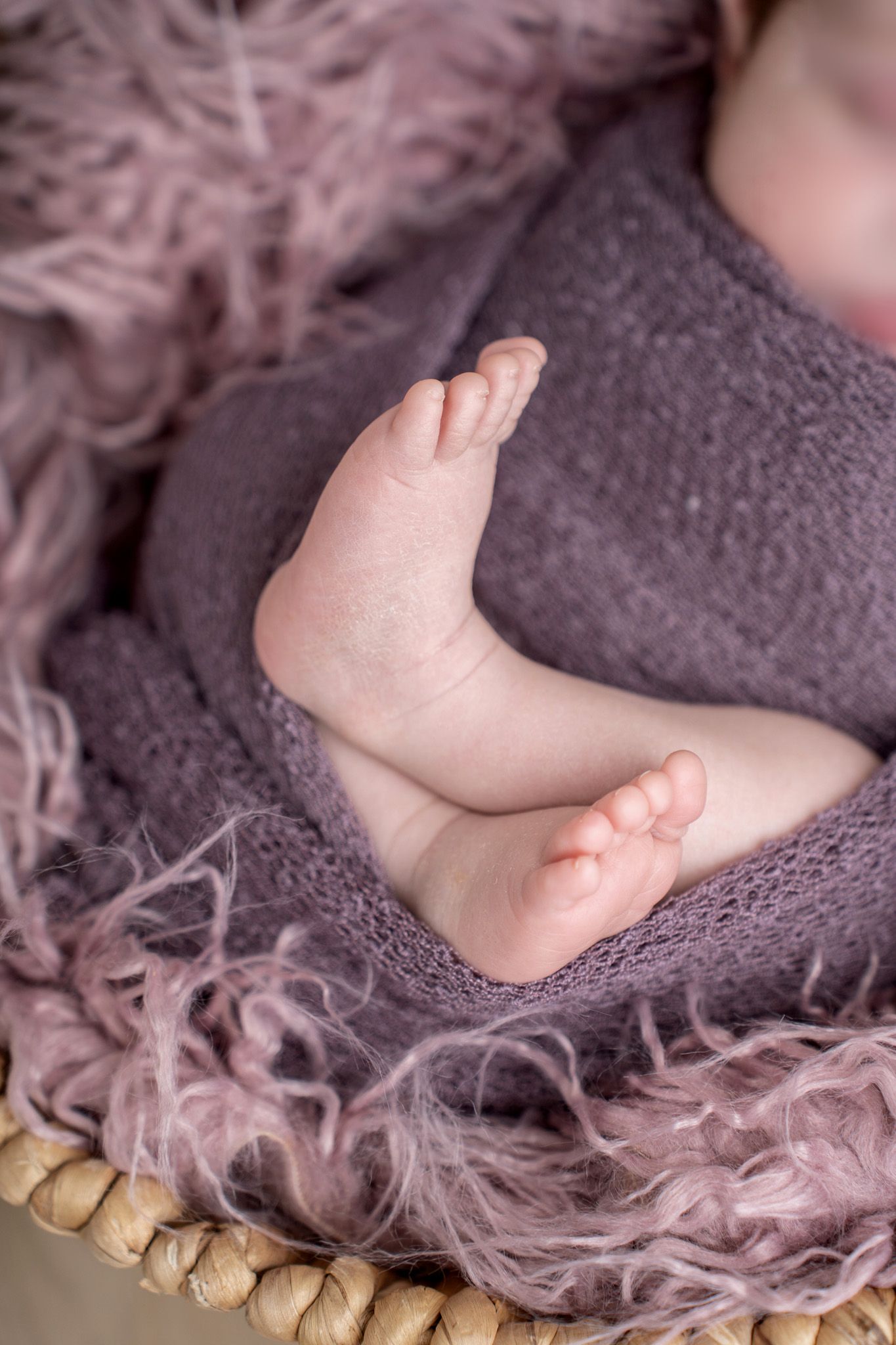 Close-up of tiny baby feet resting on purple textured blanket.