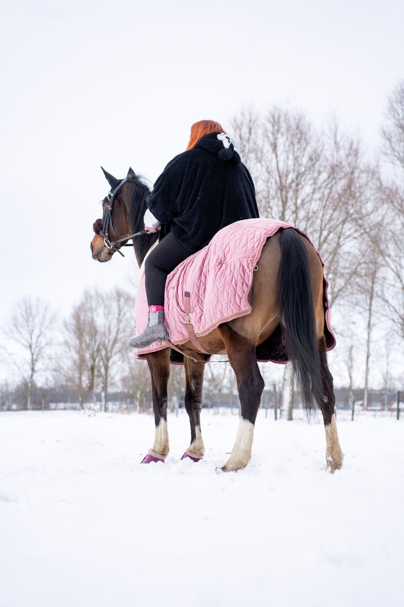 Two horses wearing black and pink winter blankets stand in snowy field.