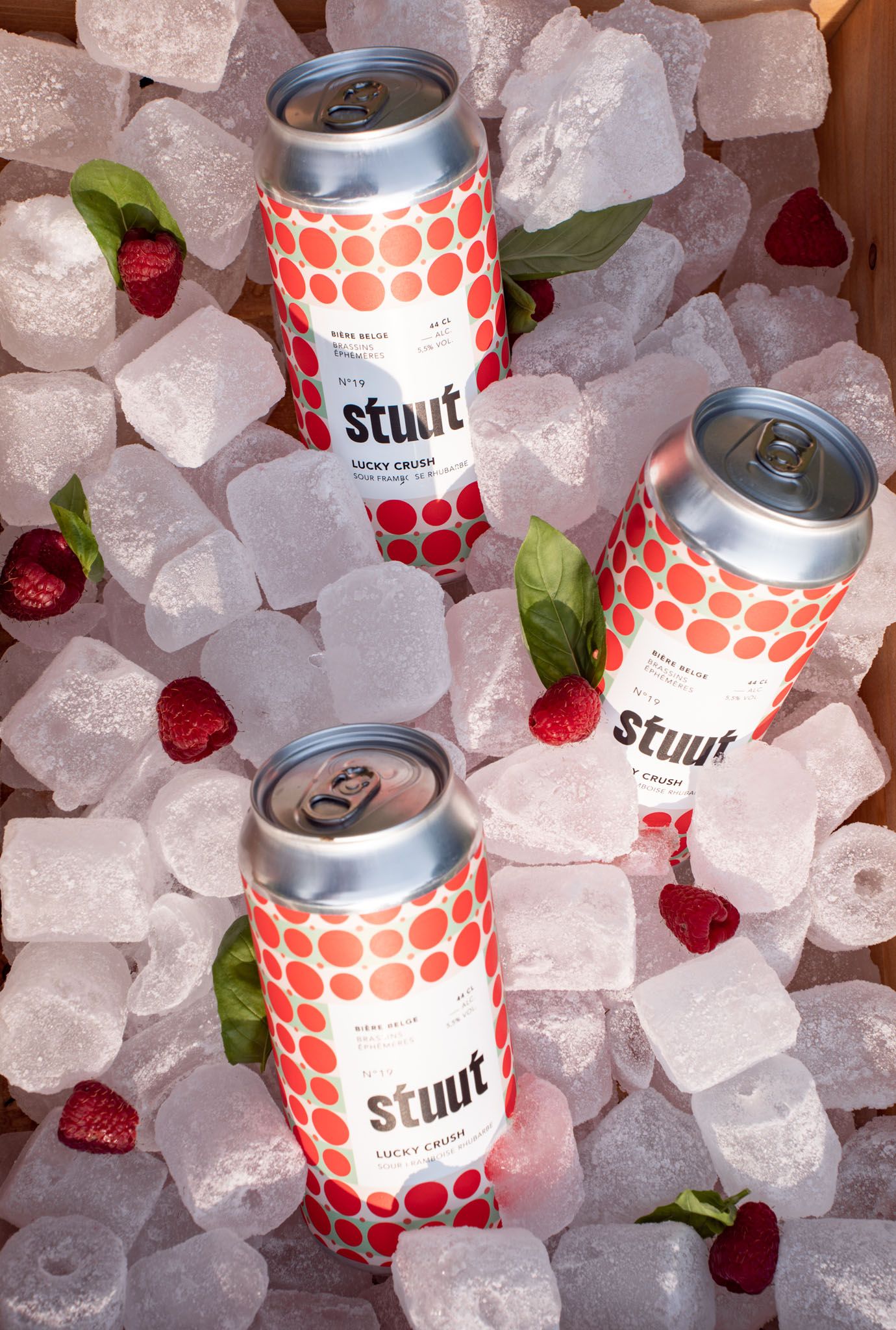 Several cans of Stout beverage chilling on ice with fresh raspberries.