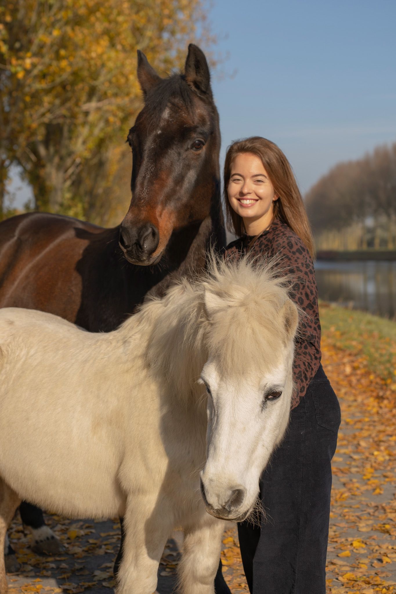 Two horses, one dark and one white, standing together on an autumn path by water.