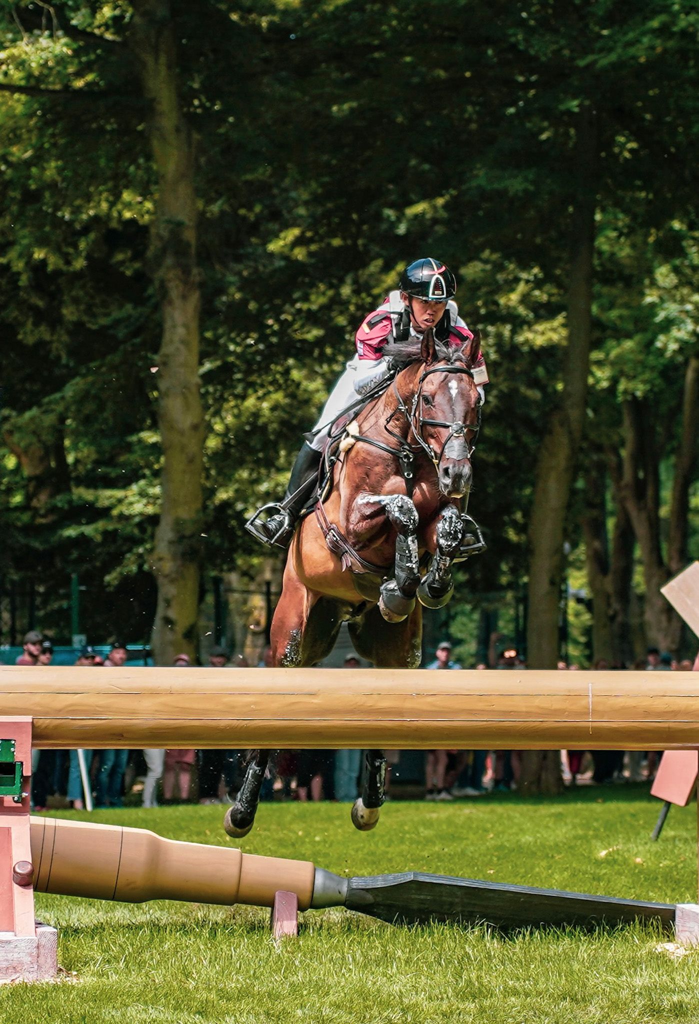 Horse and rider leaping over a wooden cross-country jump in a forested setting.
