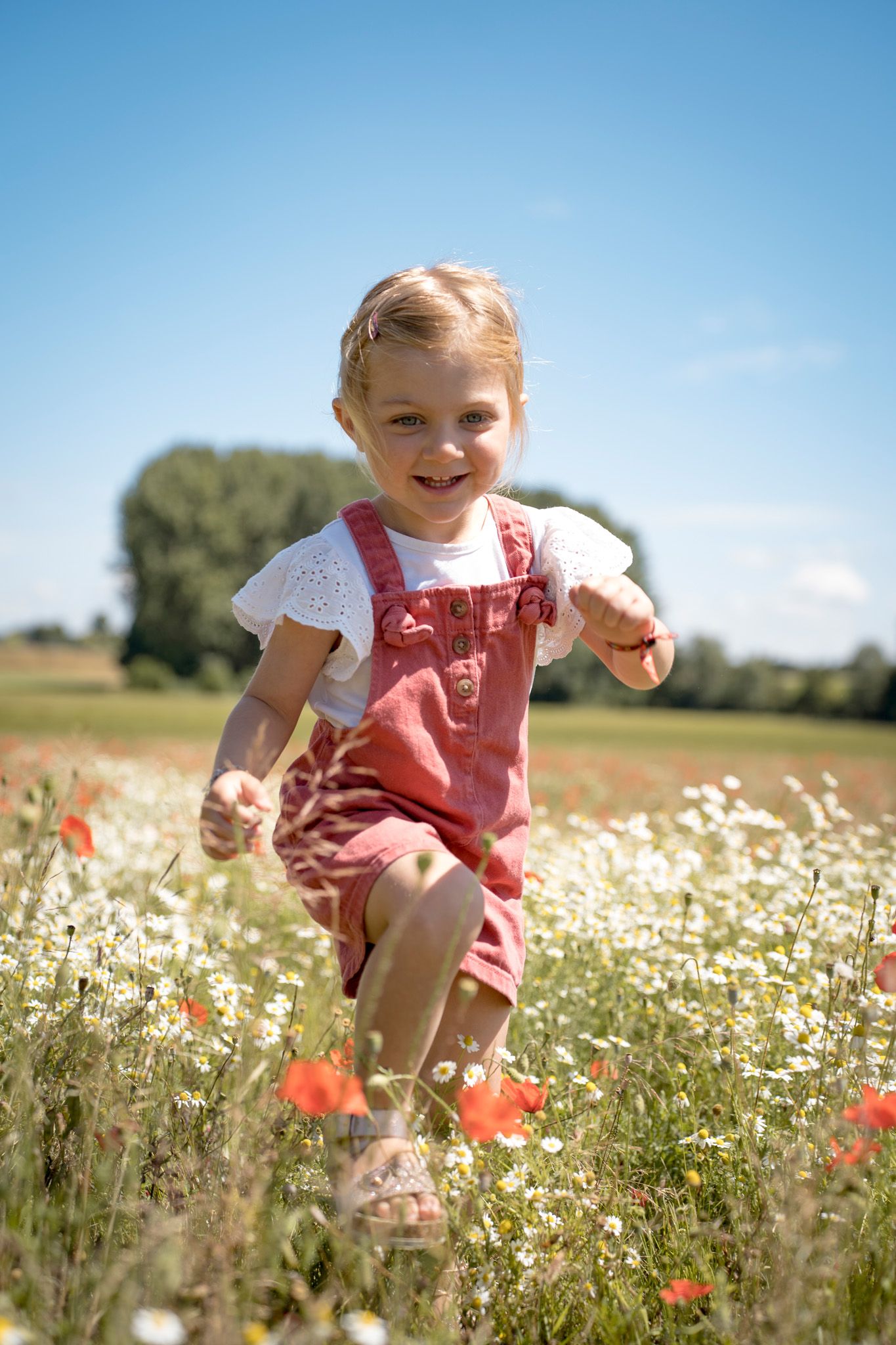 Summer meadow scene with white daisies and red poppies under blue sky.