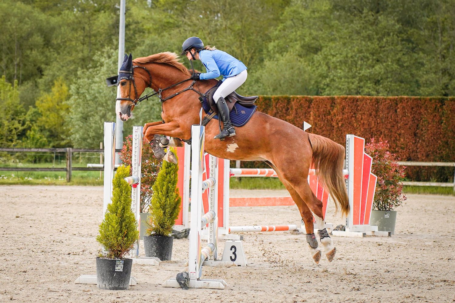 Equestrian rider on chestnut horse jumping over colorful show jumping fence in outdoor competition arena.